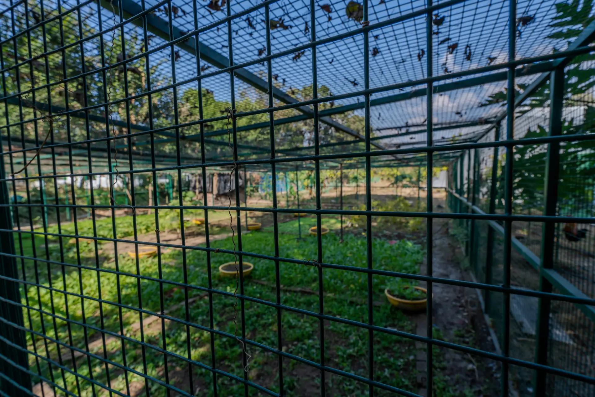 Image 22 of the property