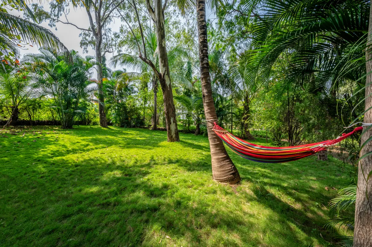 Let the breeze rock your worries away