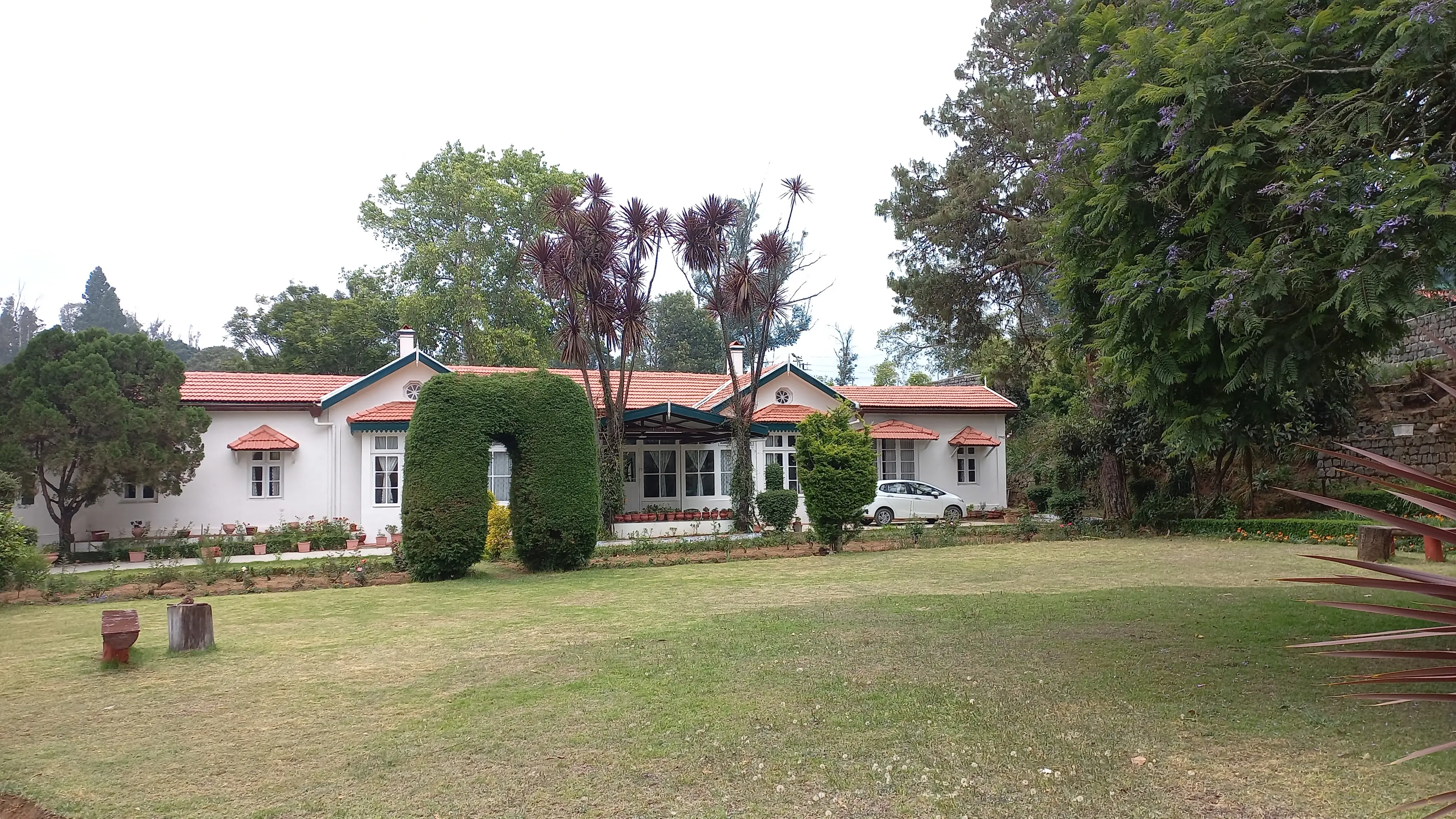 Shaivya