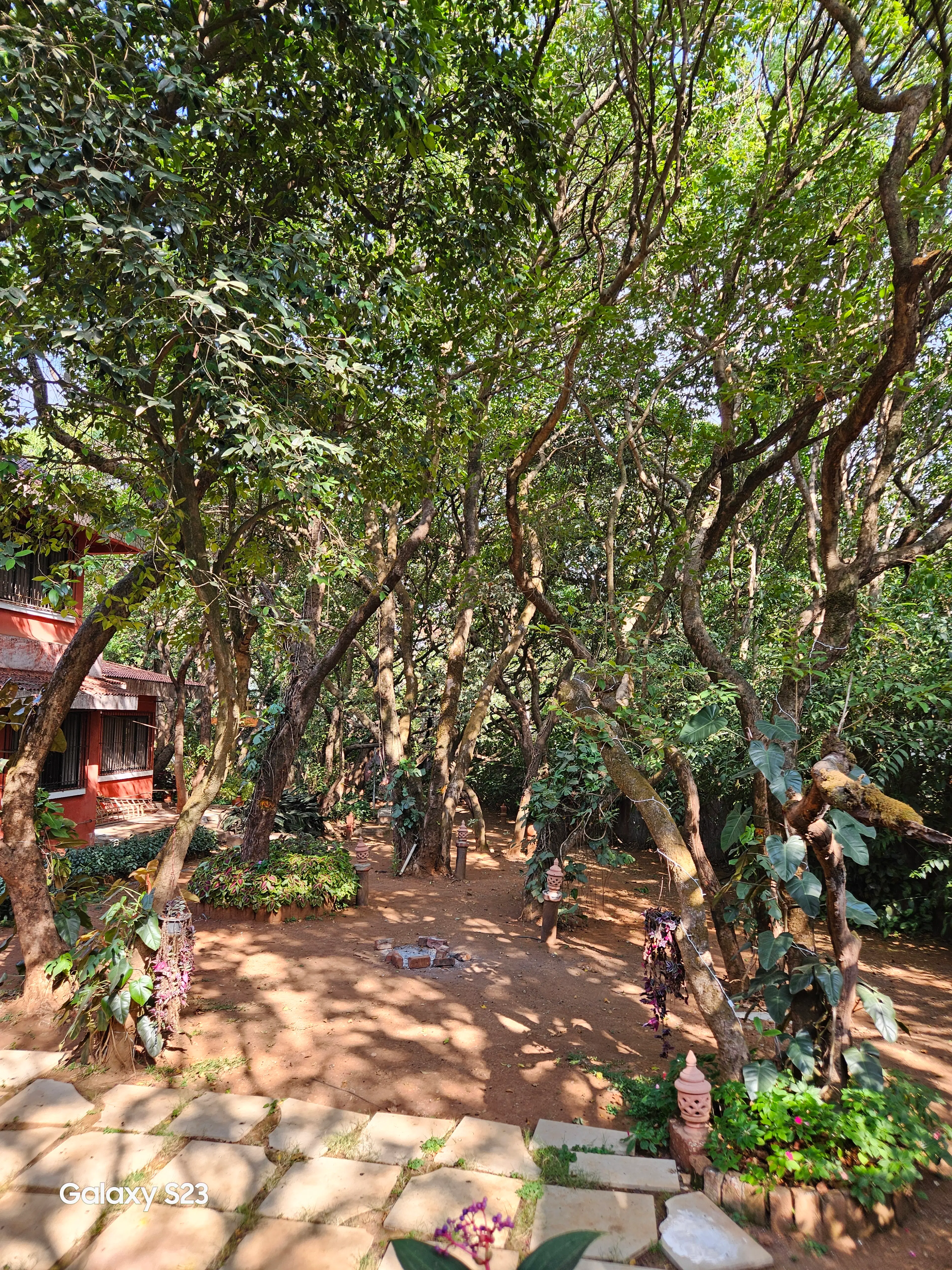 Vinayak