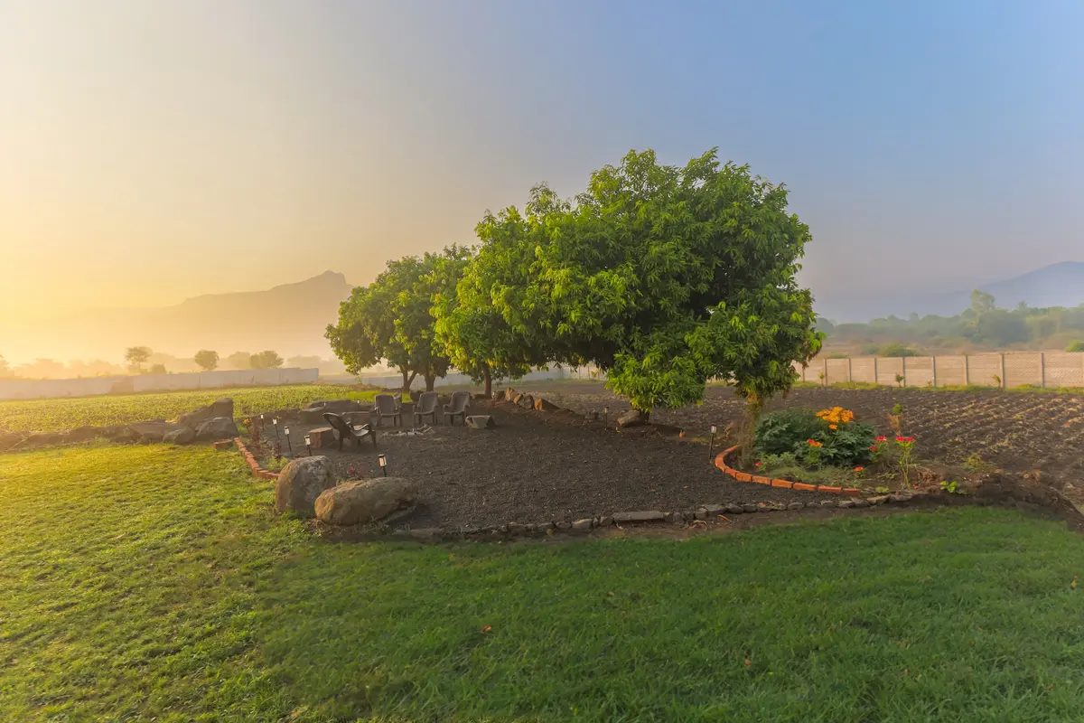 Whether you're sipping chai or simply soaking in the stillness, mornings here are pure magic