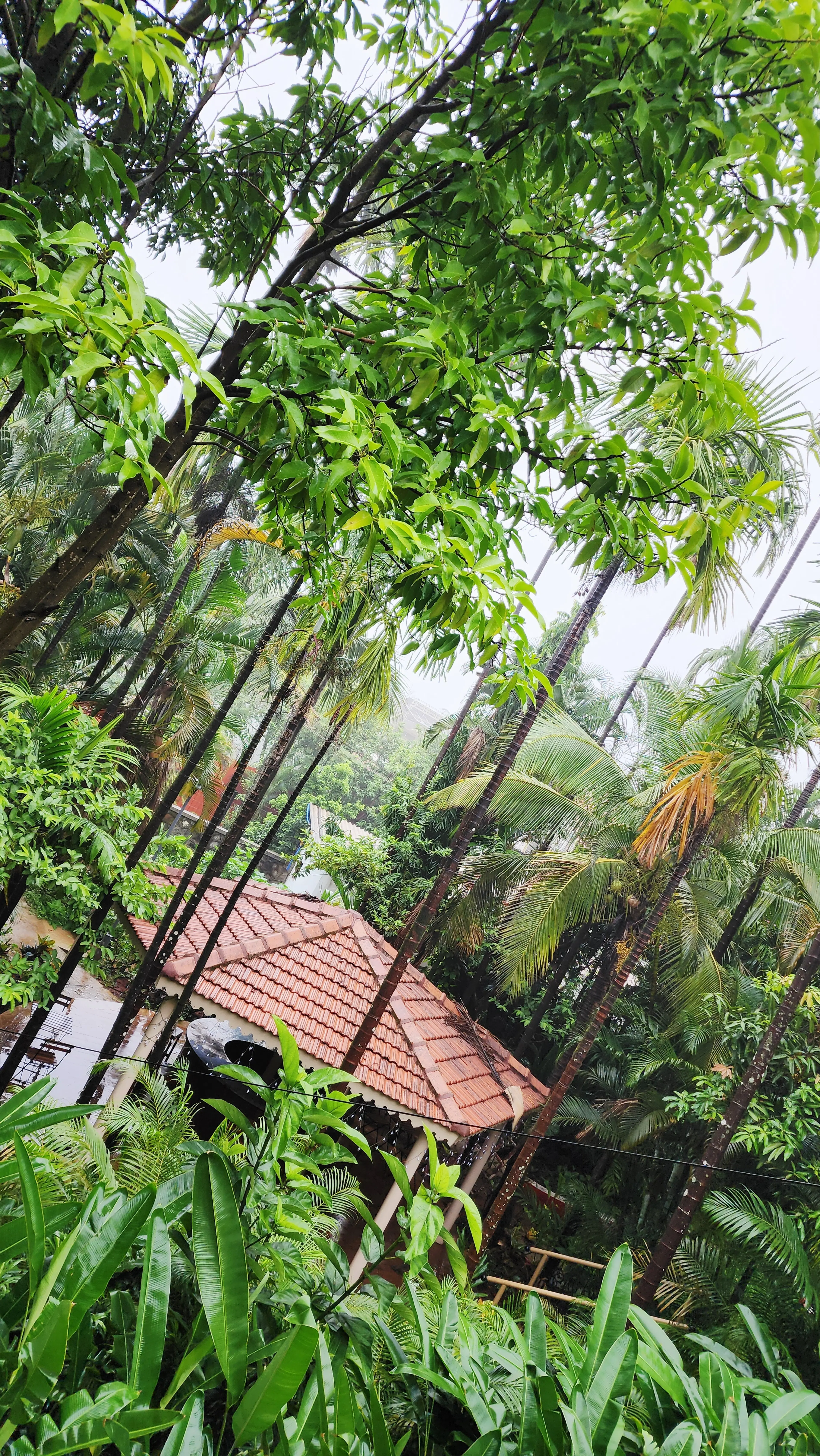 Nimittesh Malpekar
