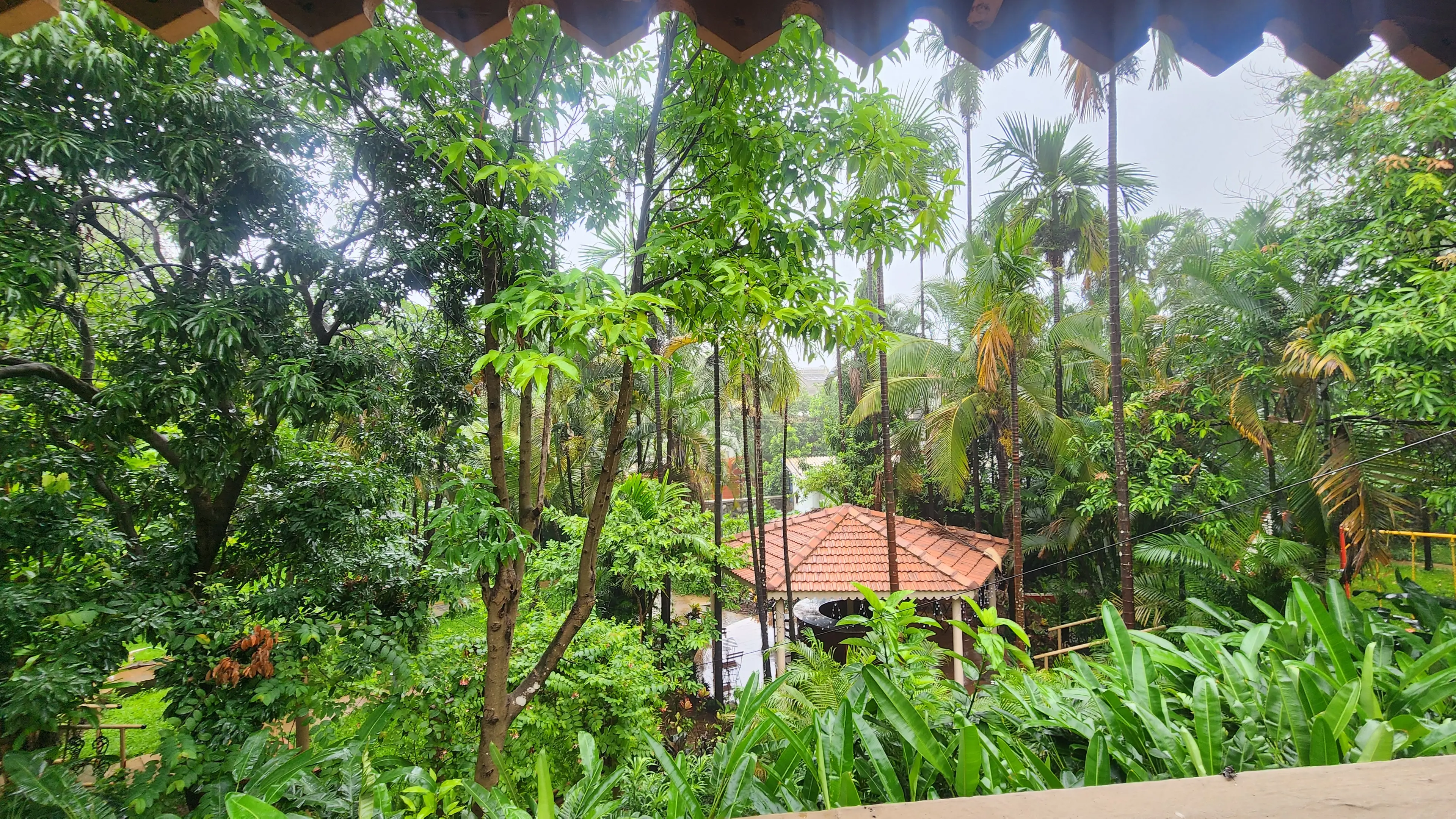 Nimittesh Malpekar