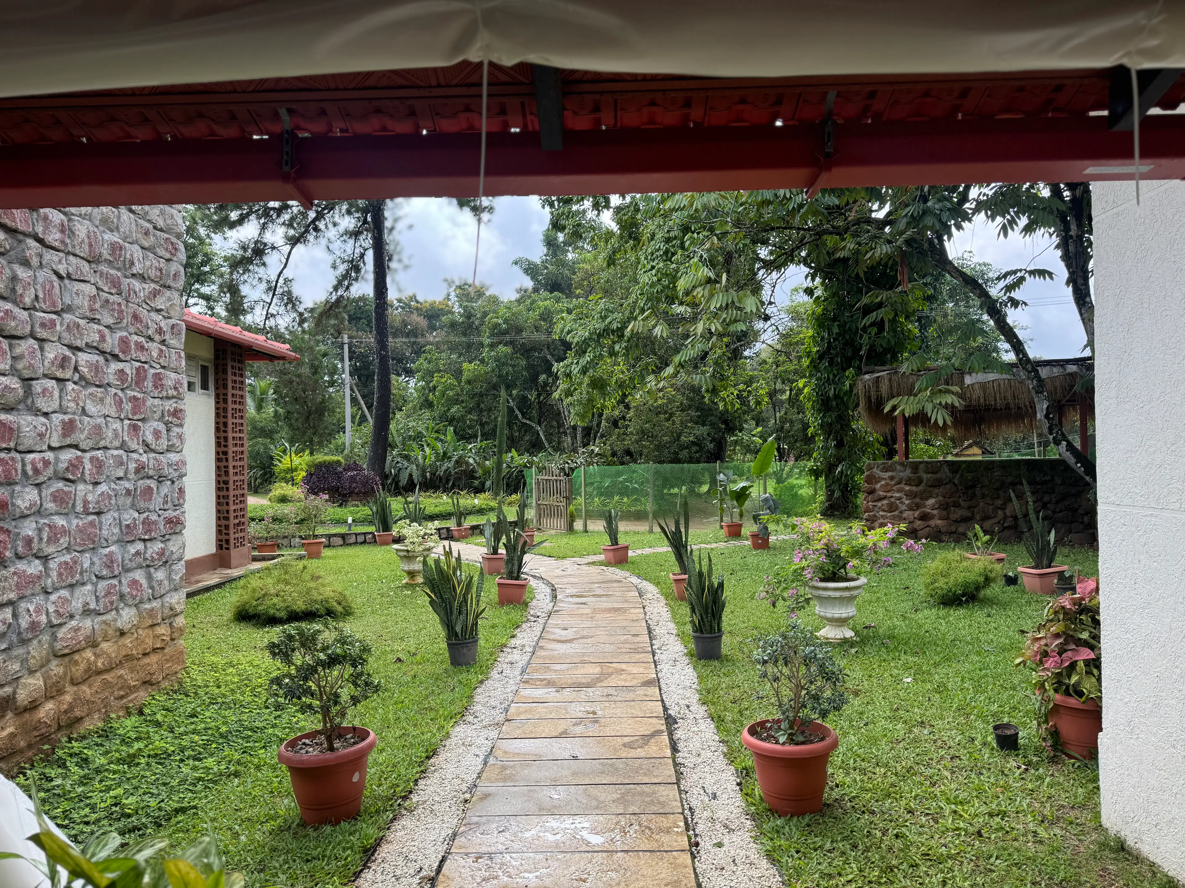 Vaishali M
