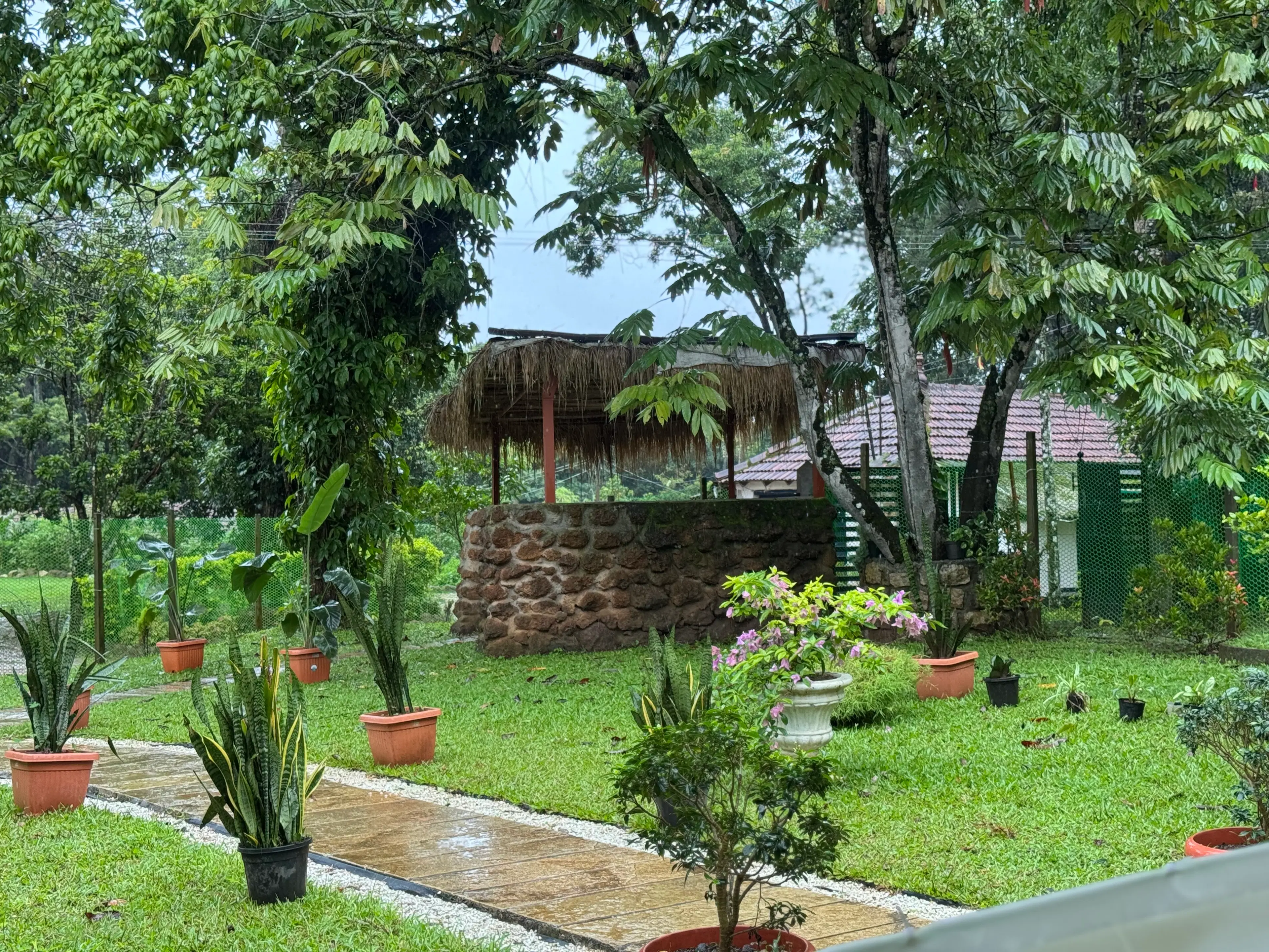 Vaishali M
