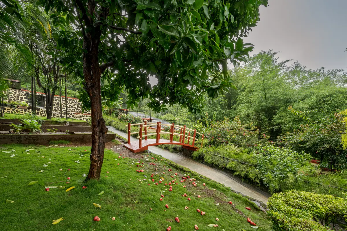 Picture-perfect family portraits on the bridge with lush greens and a flowing stream.