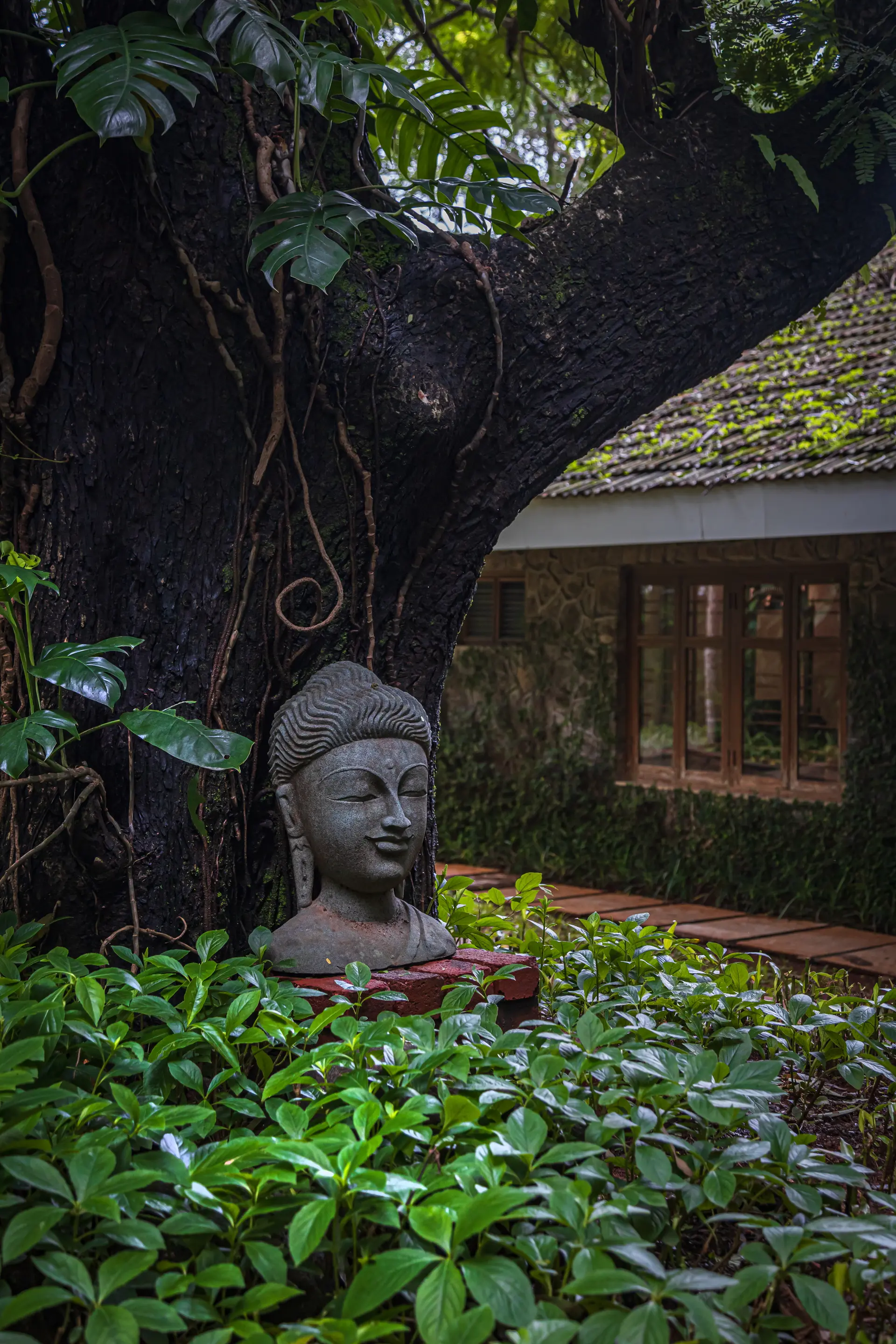 Image 6 of the property
