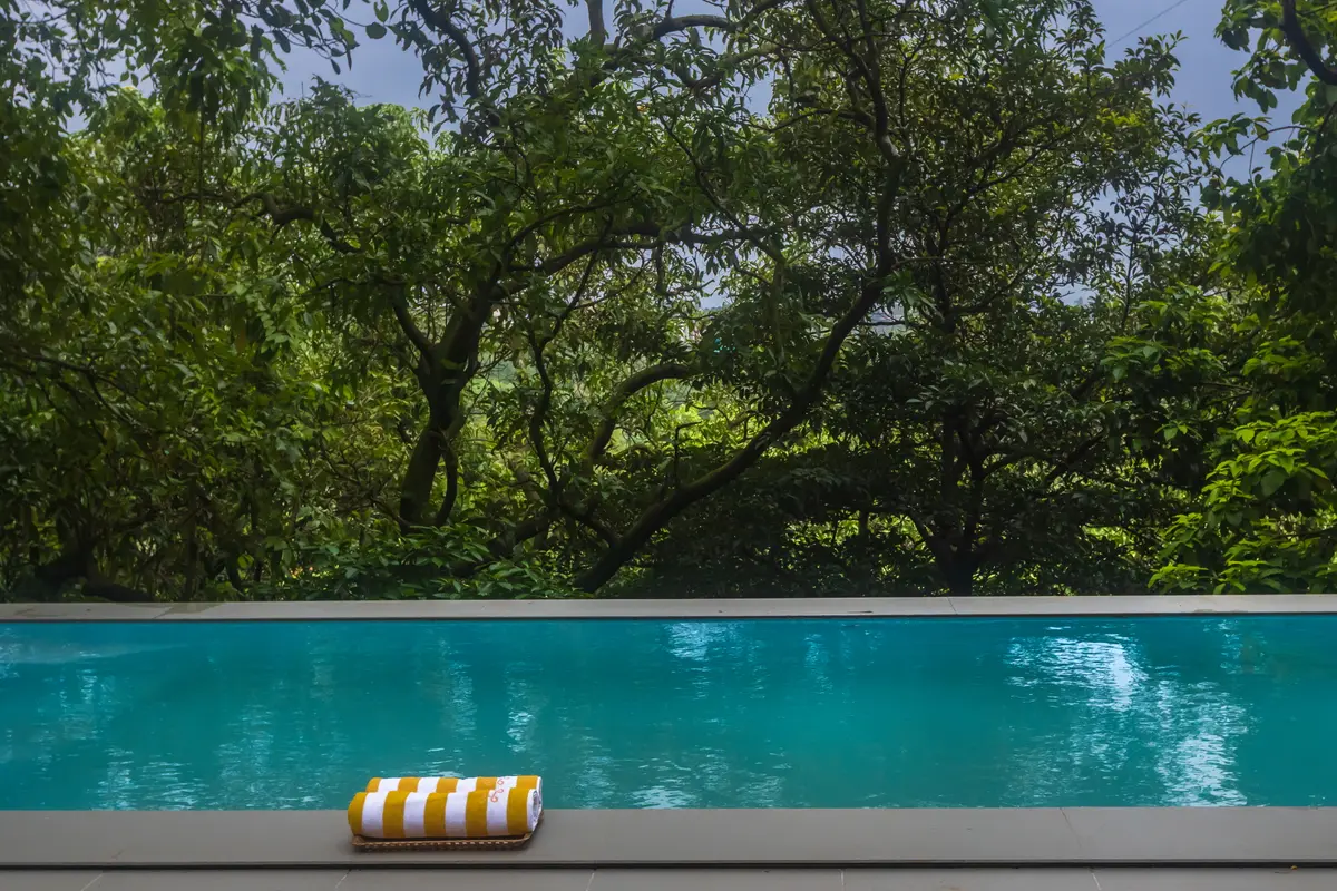 Take a dip in the pool and soak in the lush green views all around.