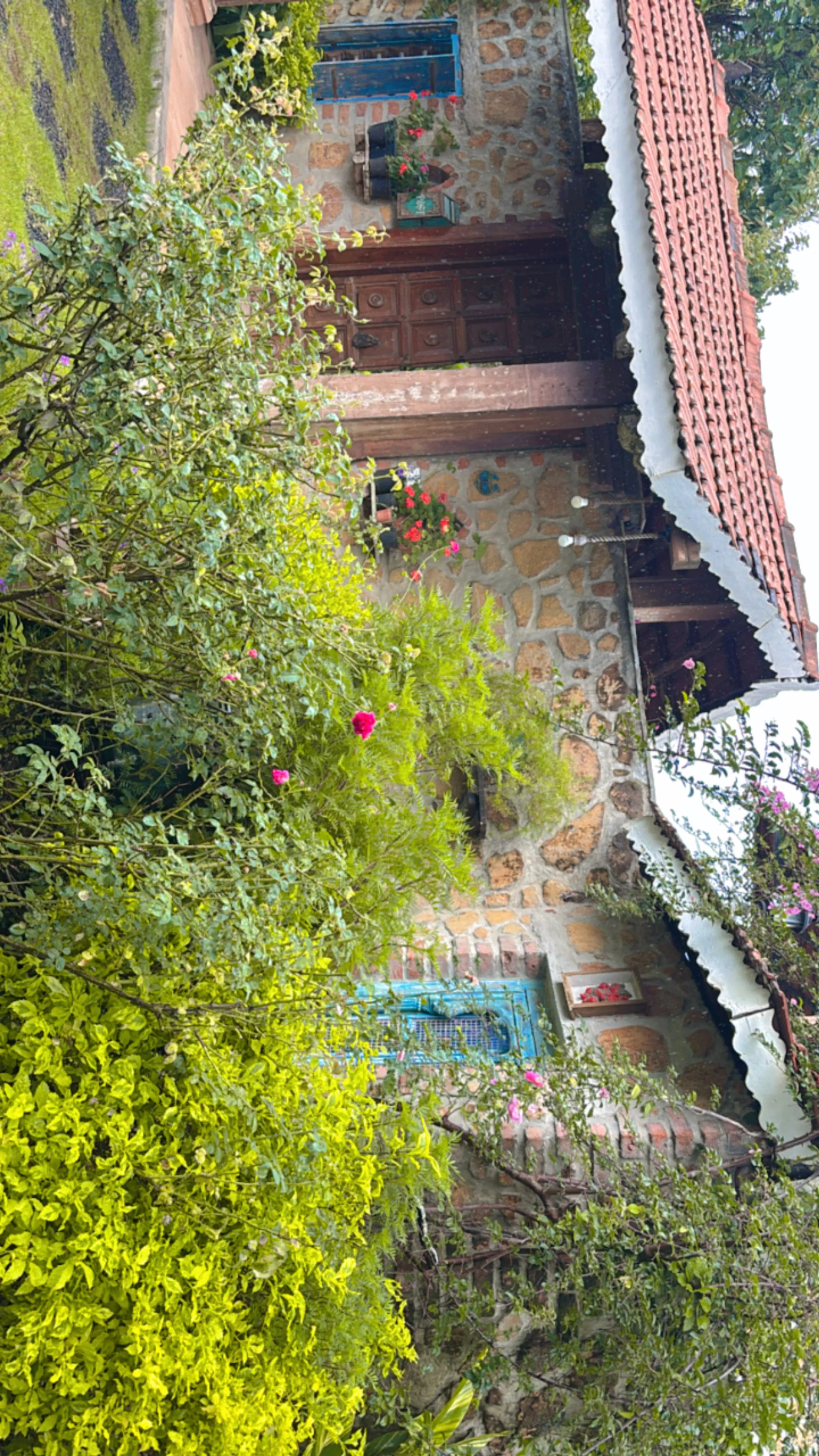 Rohan Mhatre