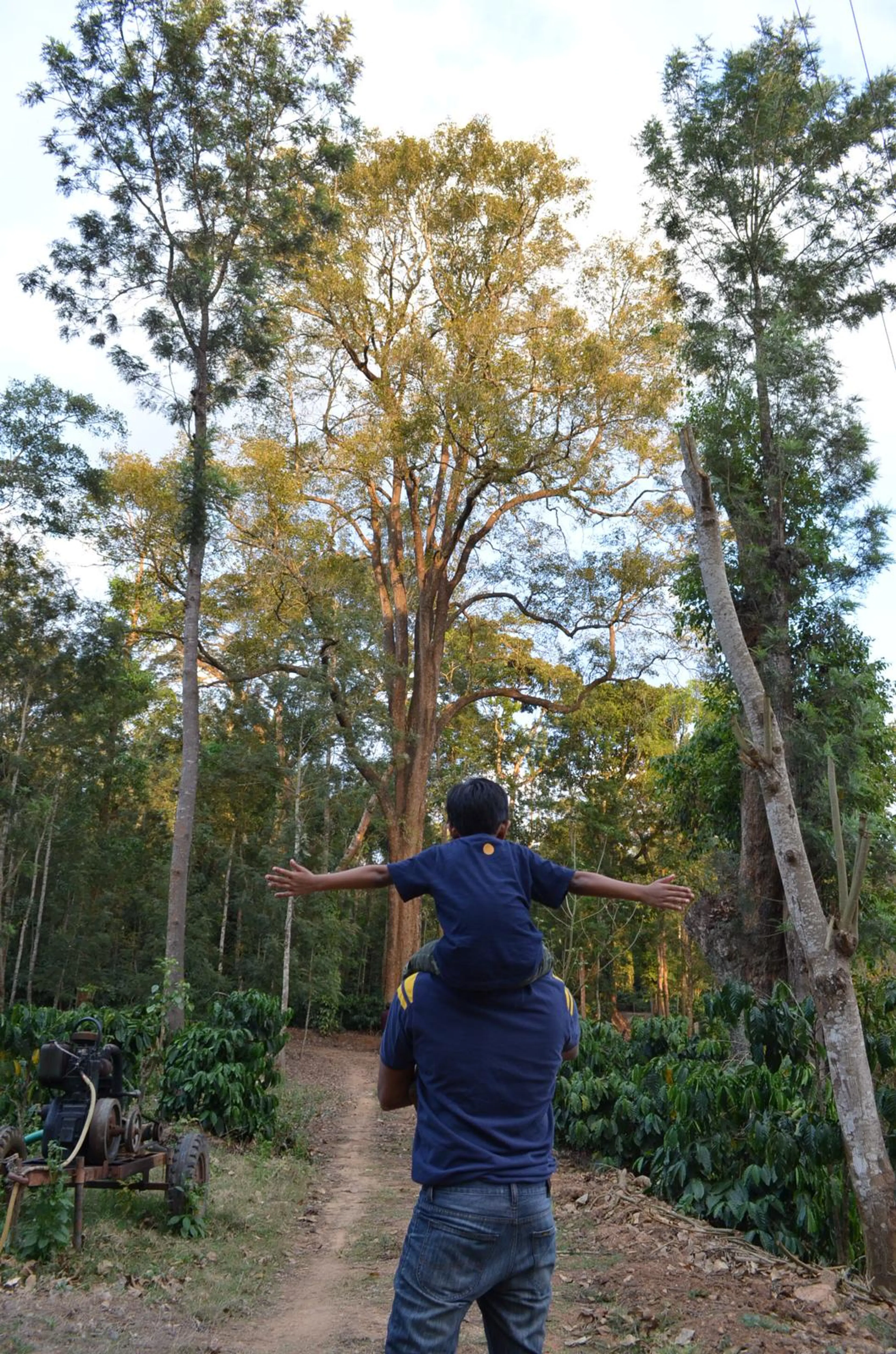 Vinutha Naidu