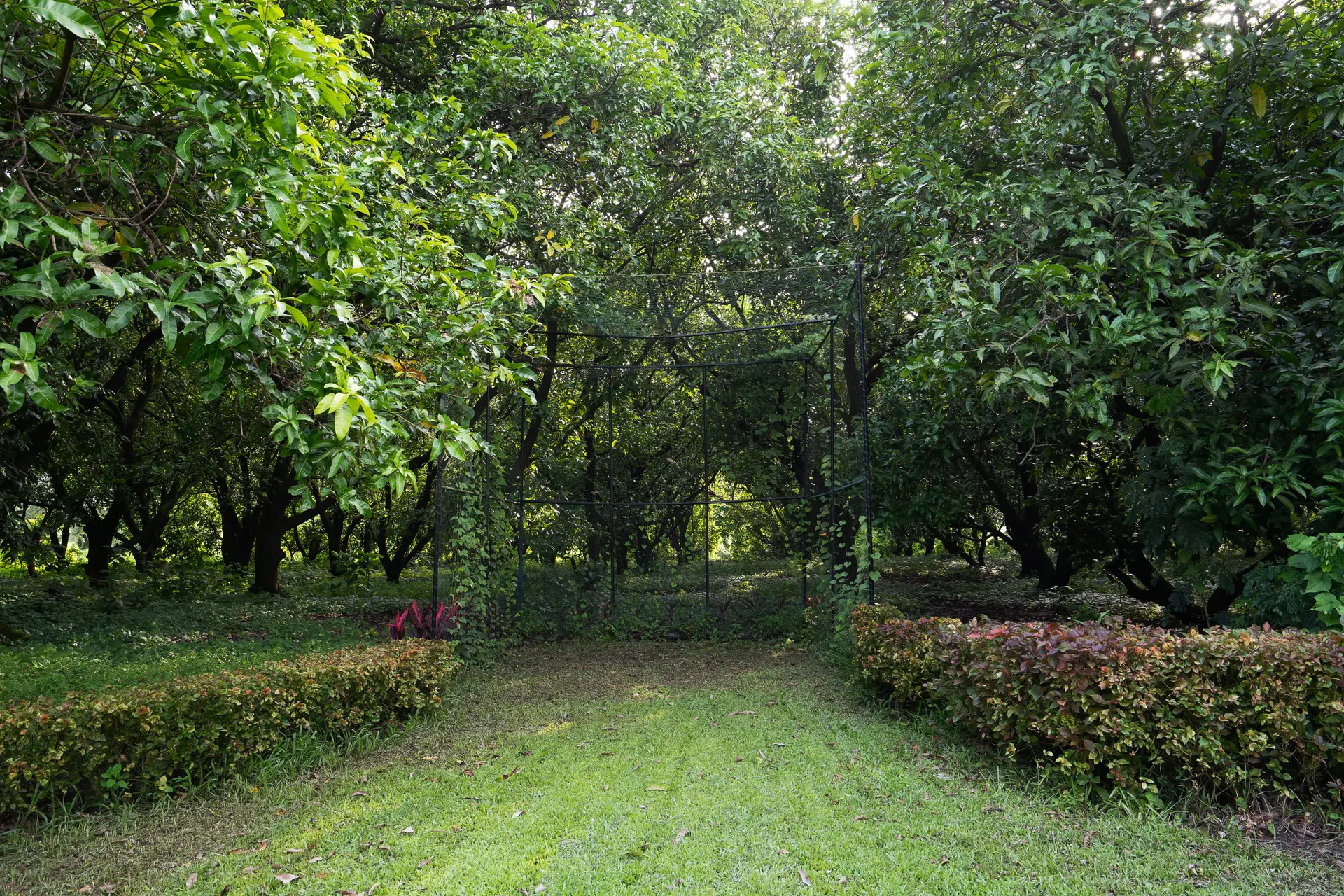 Image 56 of the property