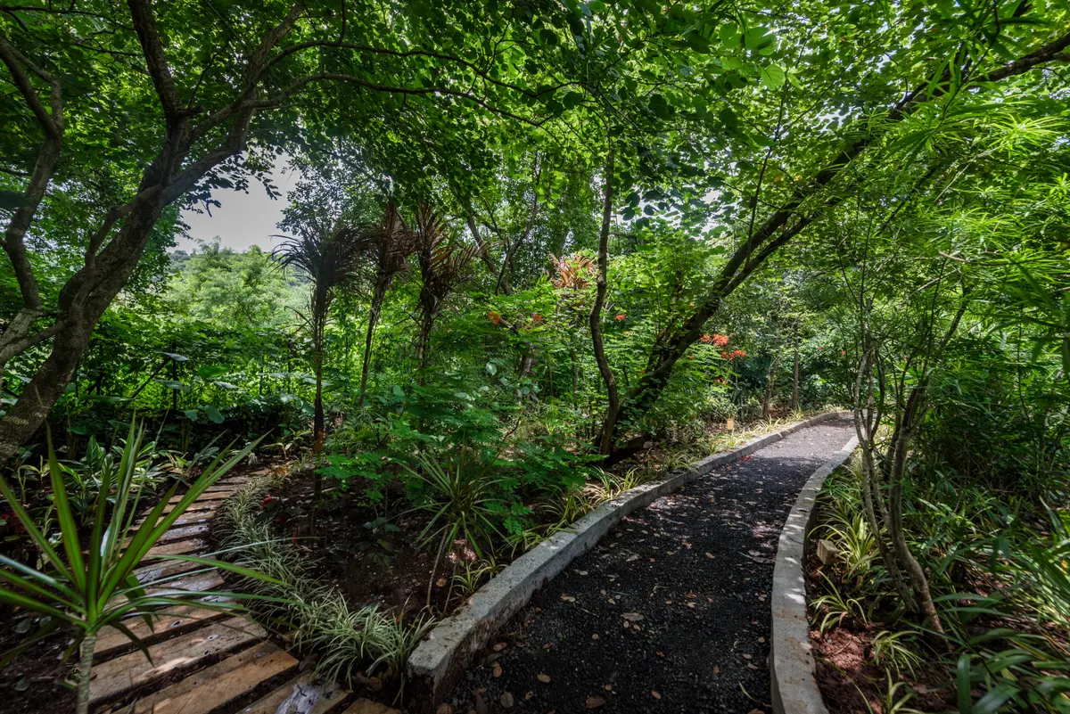 Walk, breathe, and let the greens restore you.