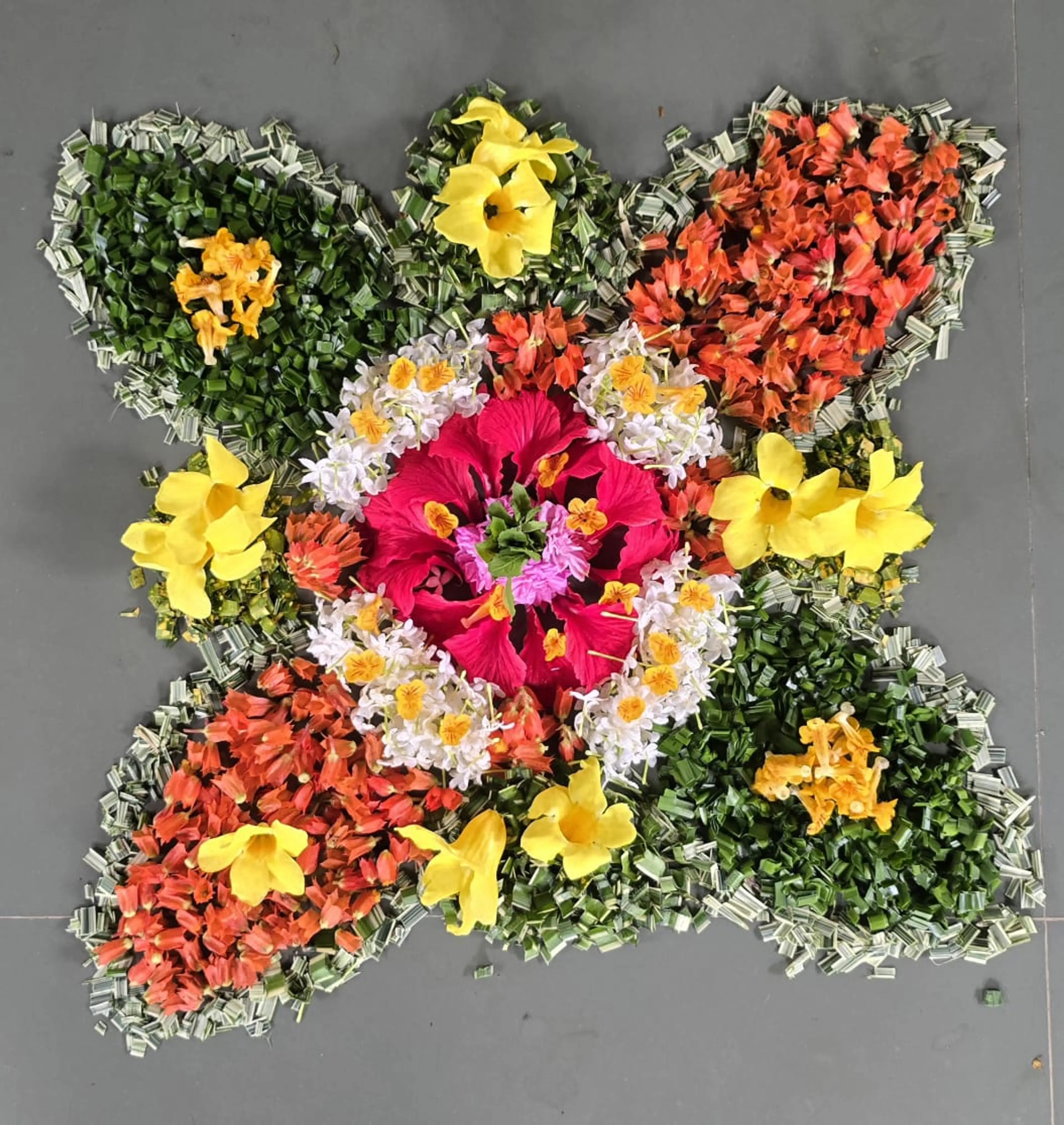 Shruthi Sayinedi