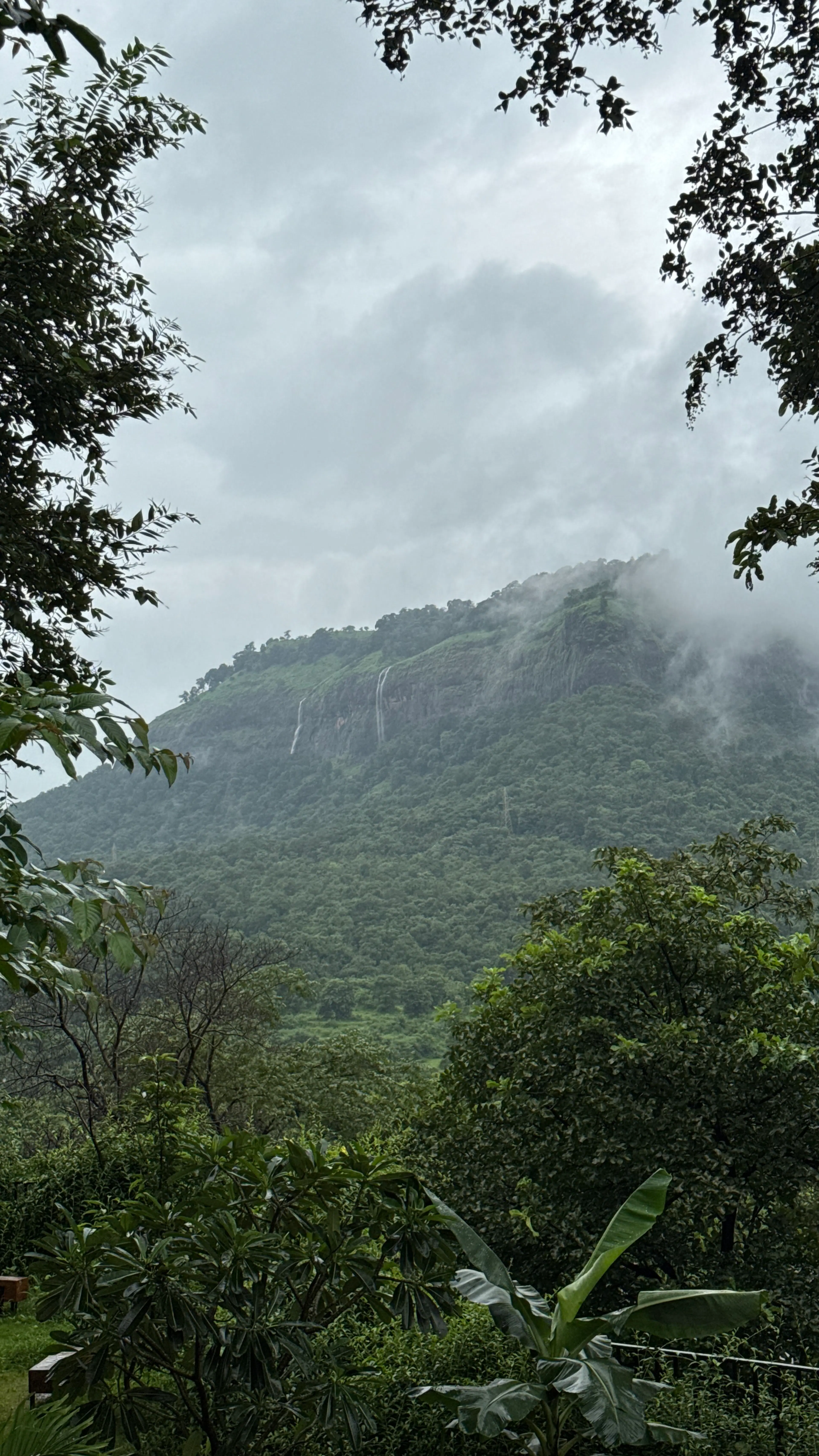 Writuparna Nath