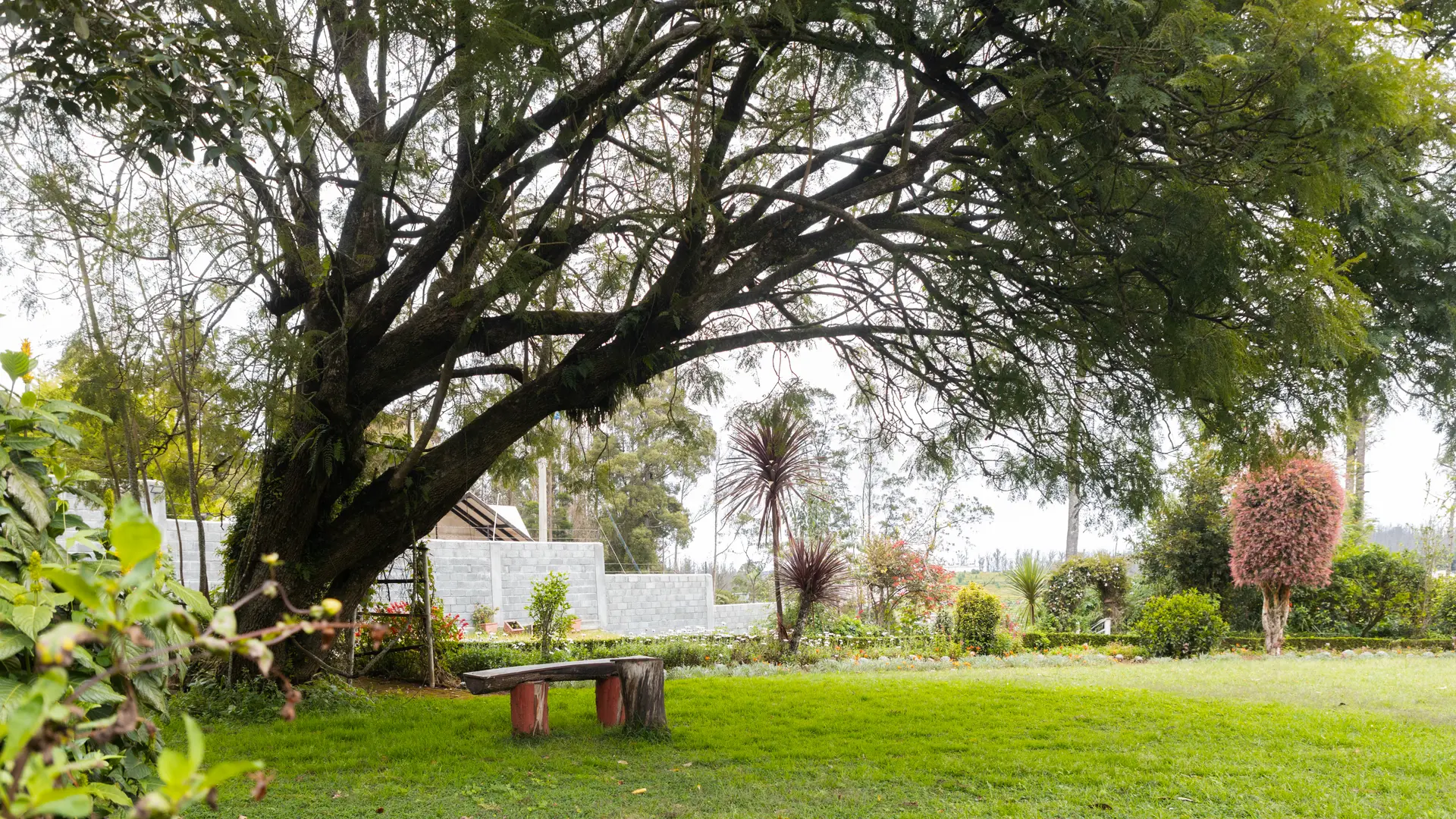Milton Abbott Estate ( Entire Estate)