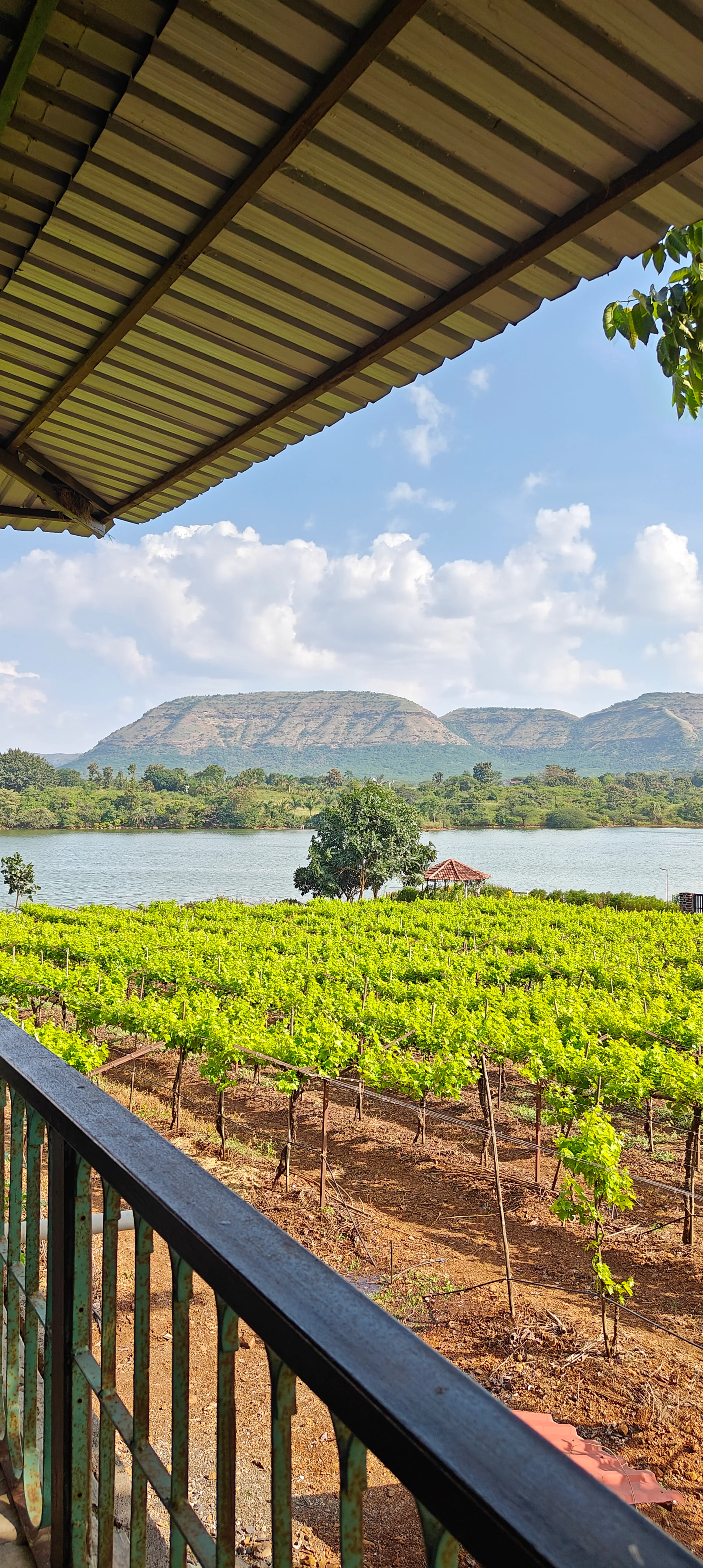 Rashmi Chendvankar