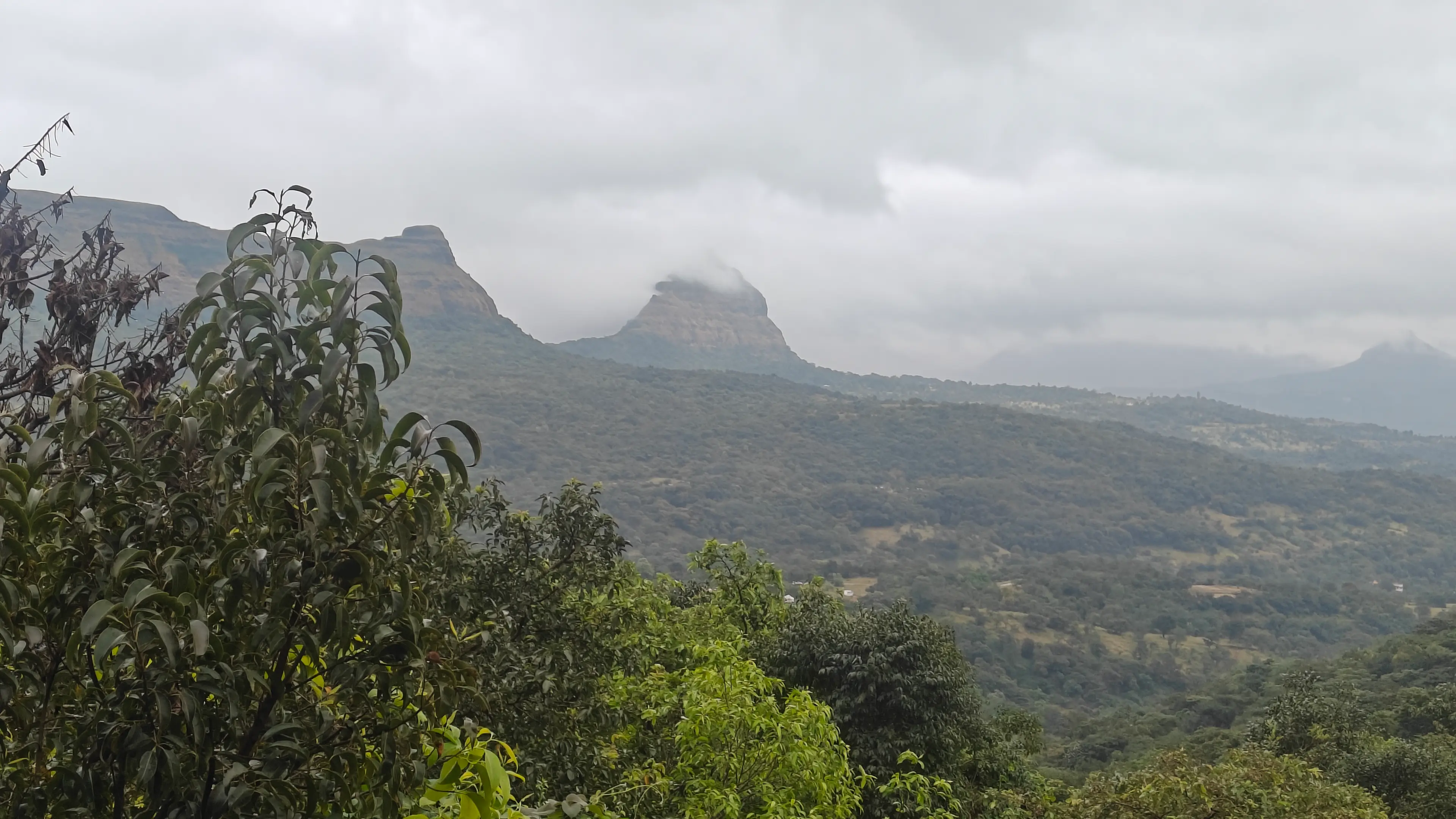 Bhavesh Panchal
