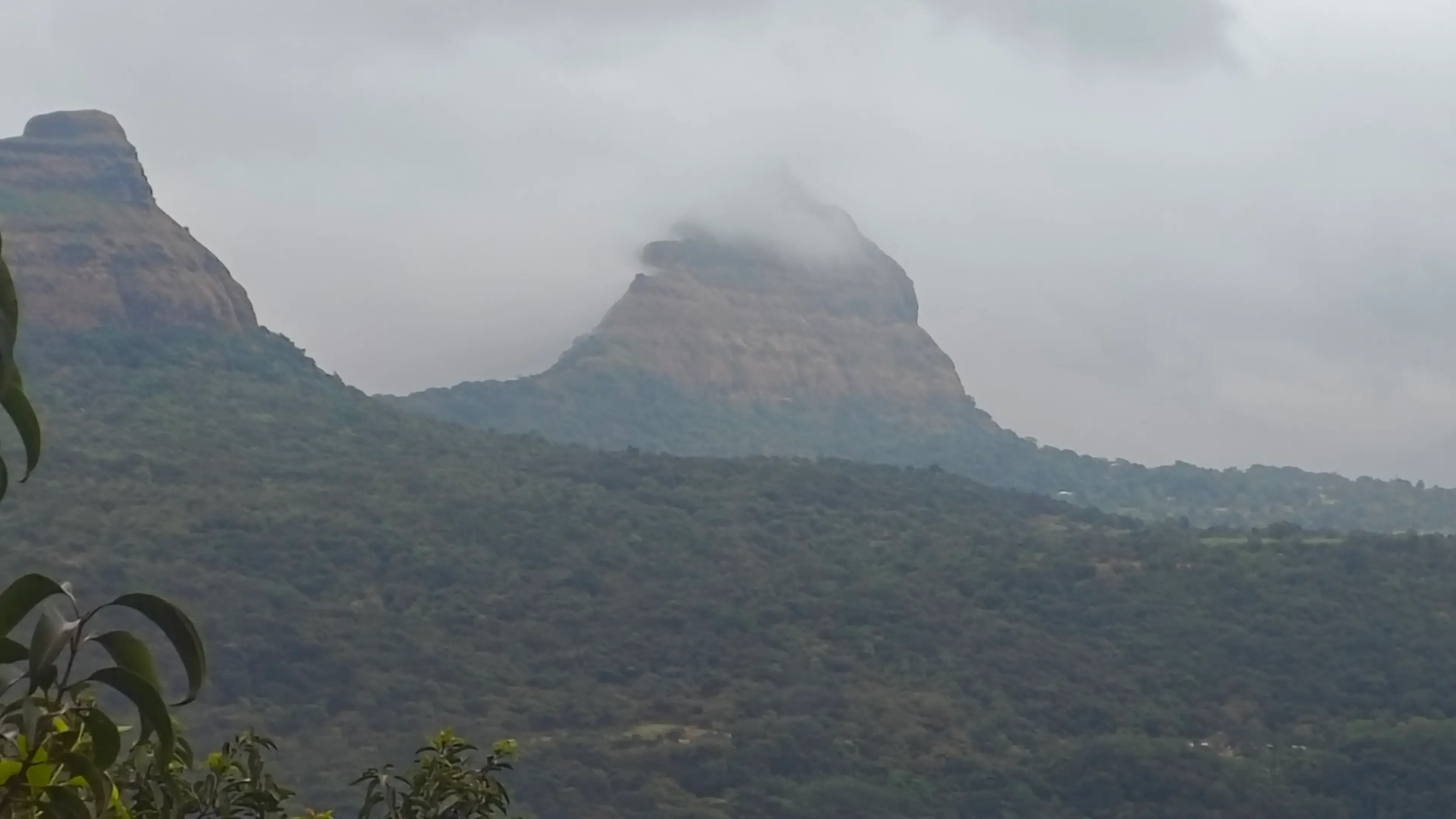 Bhavesh Panchal