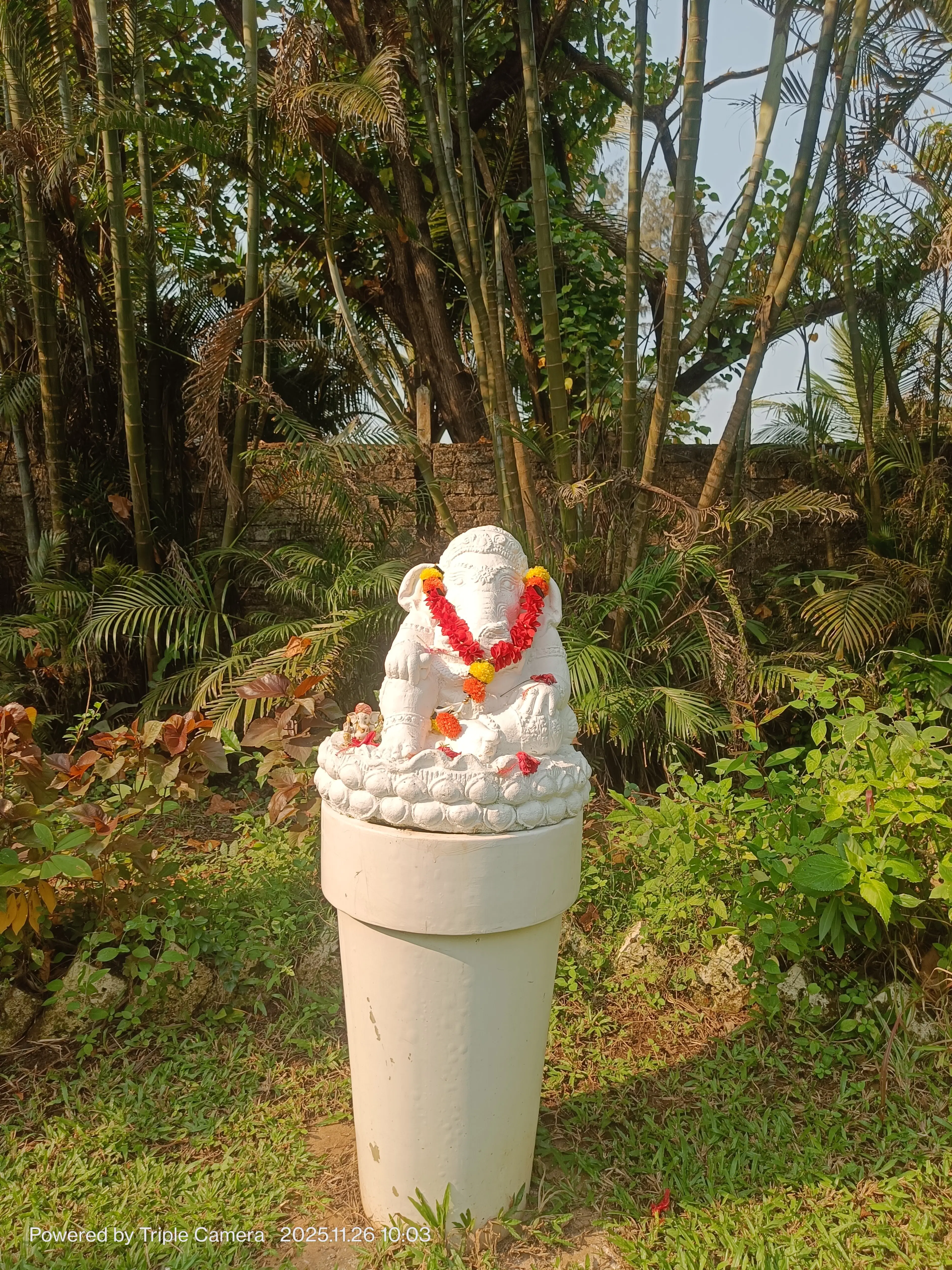 Vibhas Mehta