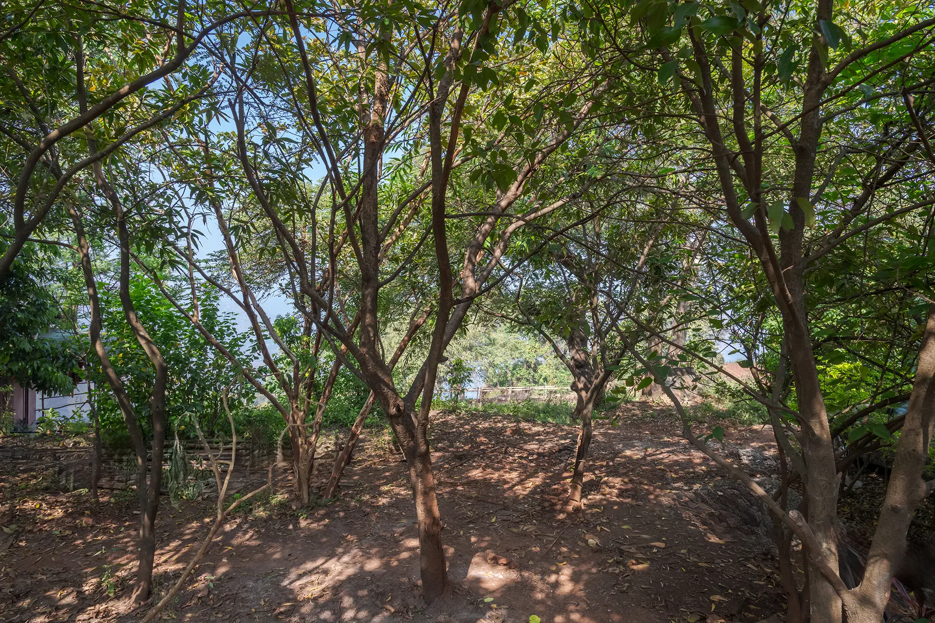 Image 15 of the property
