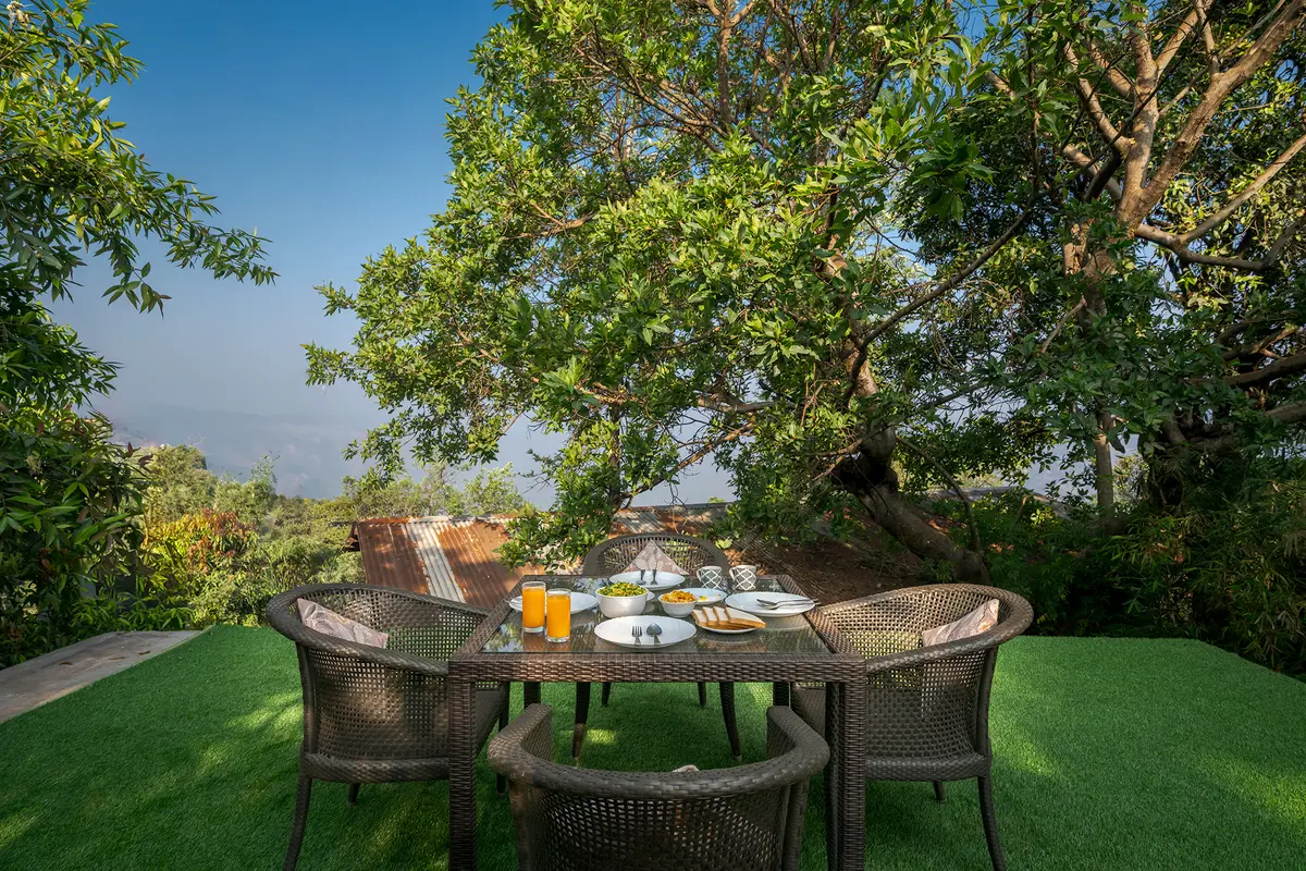 Indulge in a charming high-tea experience by the lawn, enveloped by greenery and towering trees.