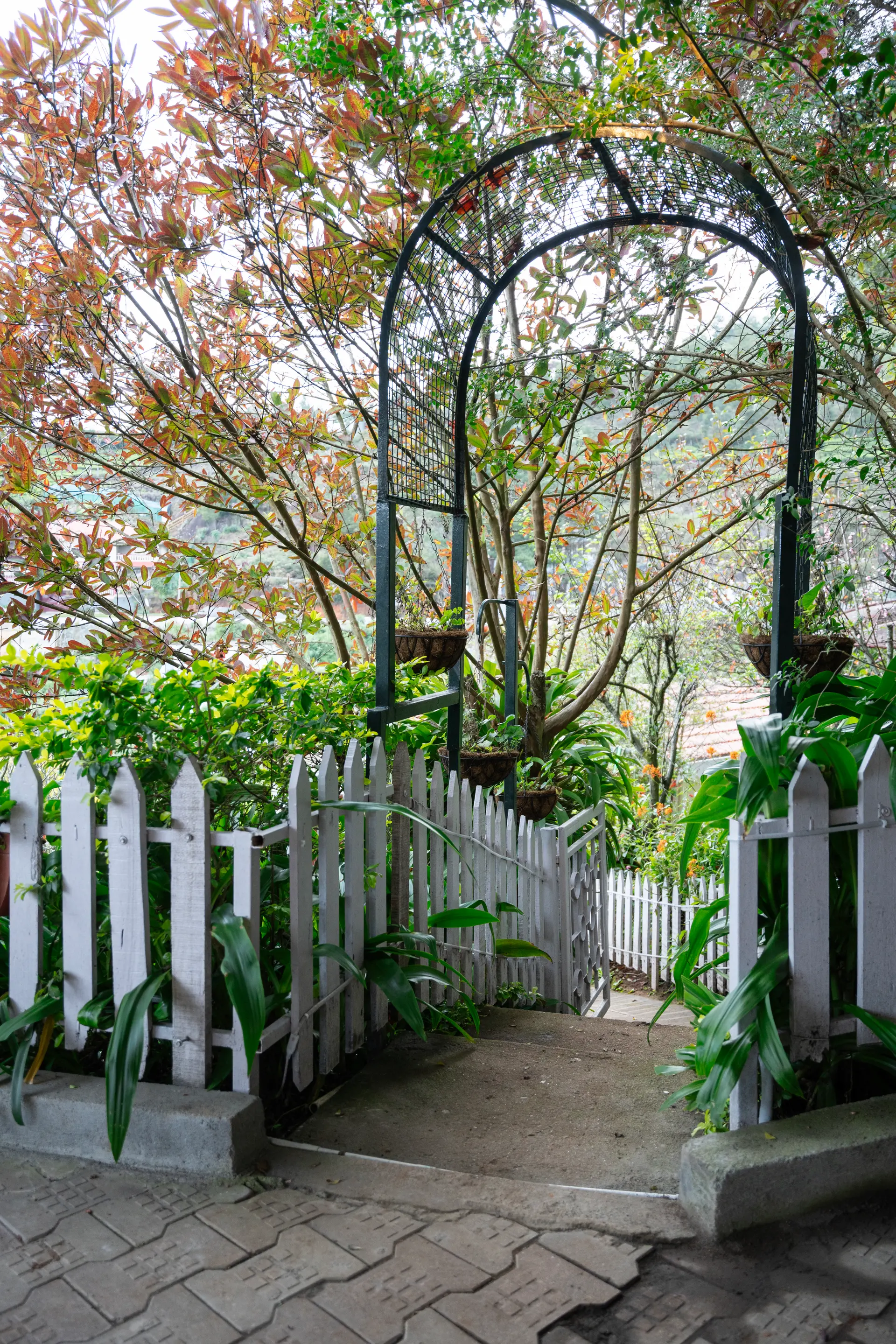 Image 44 of the property