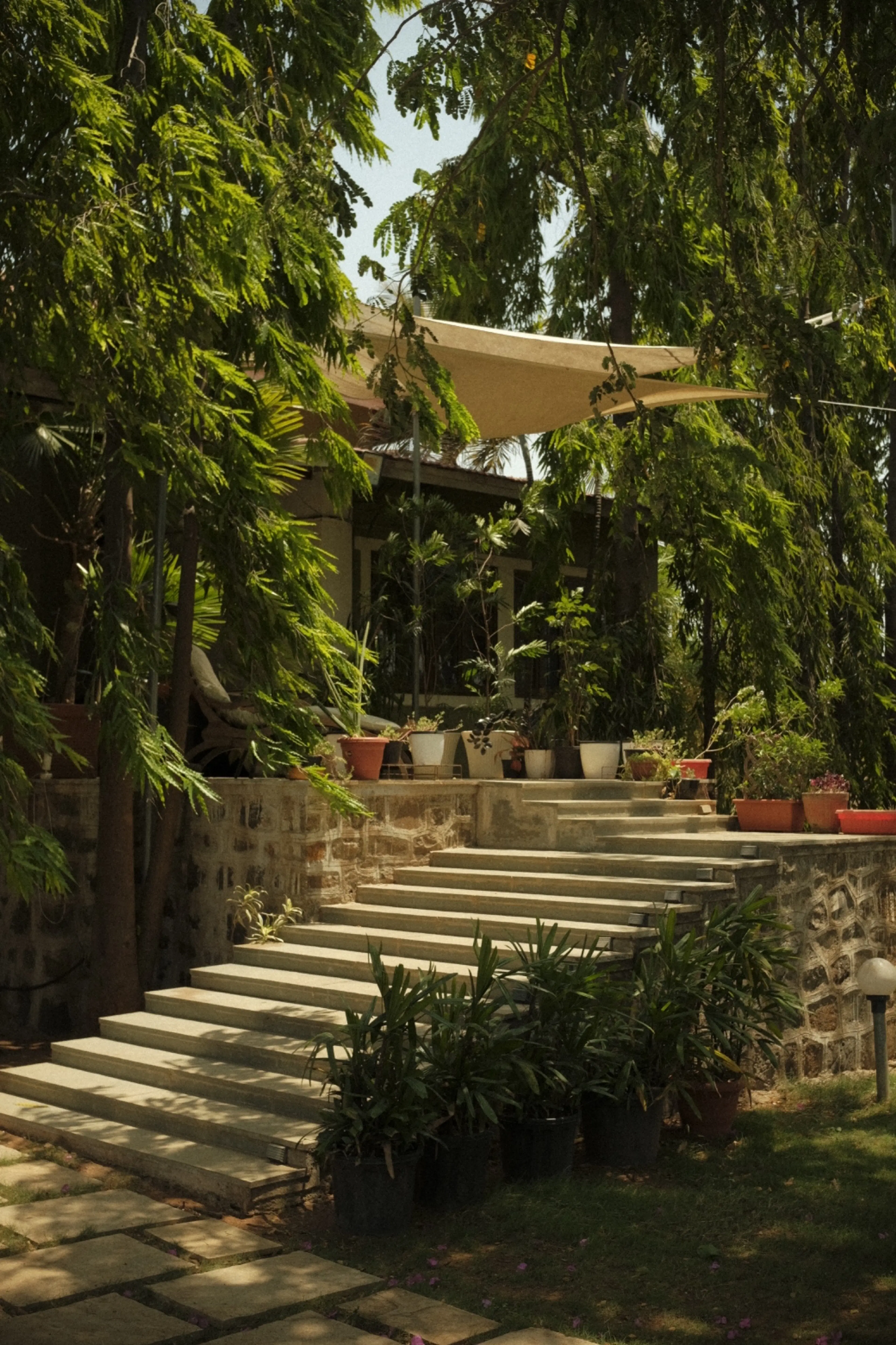 Jason F.