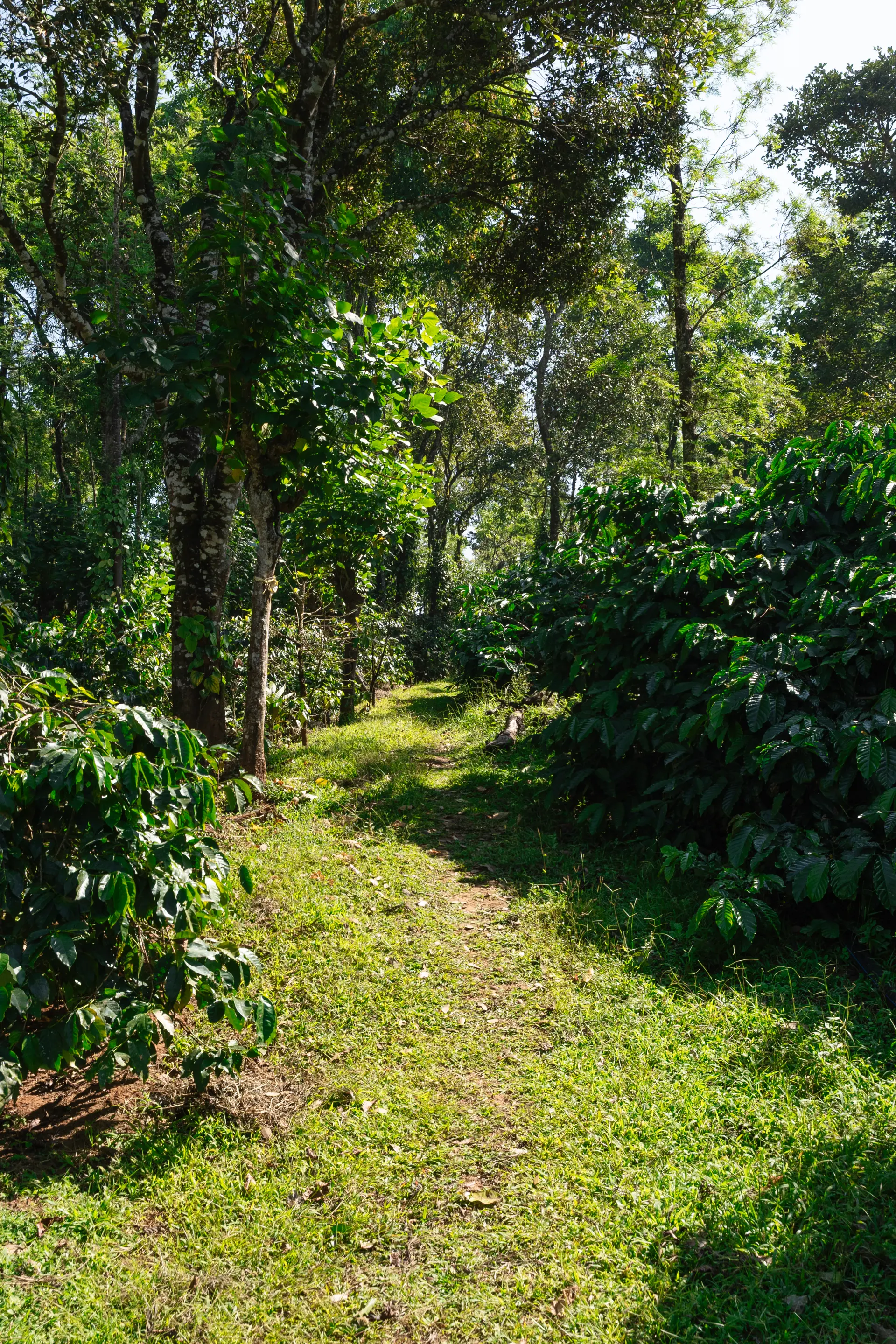 Image 39 of the property