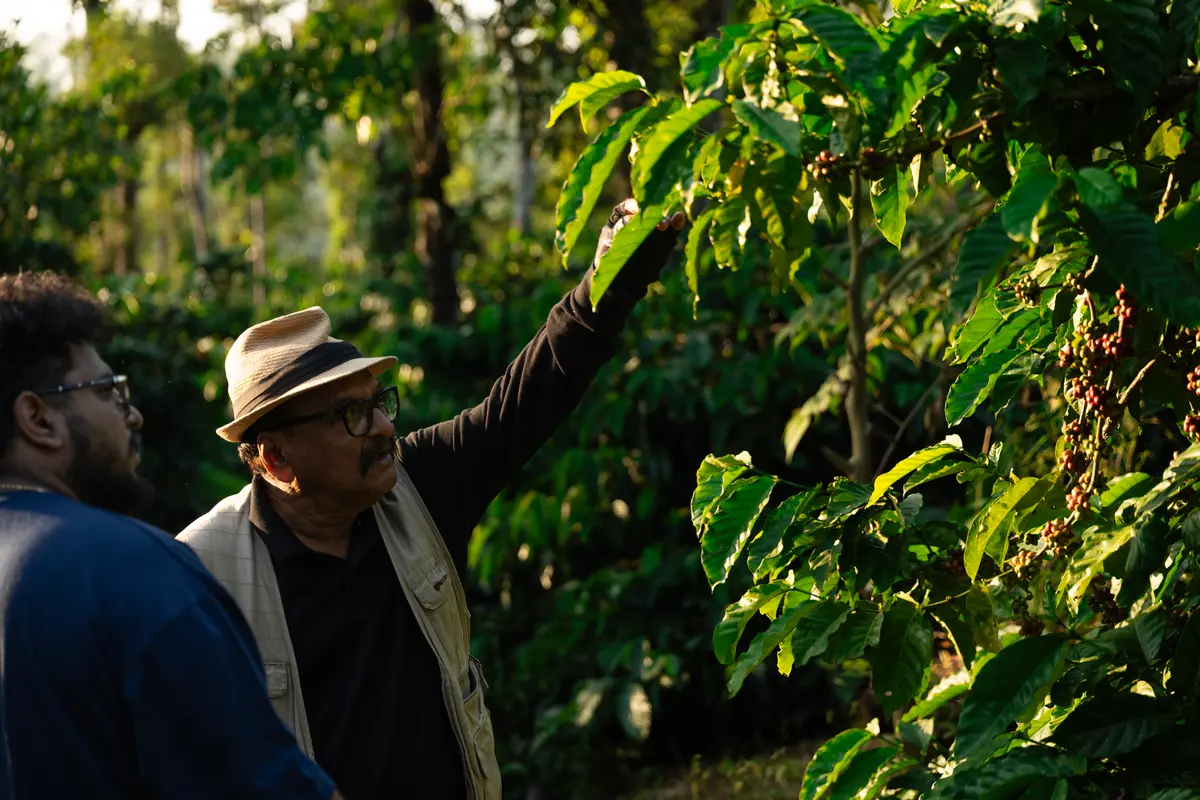 Walk through the estate and discover coffee country at its most alive.