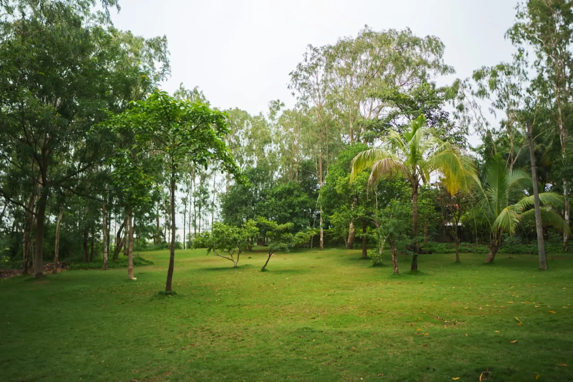 Image 33 of the property
