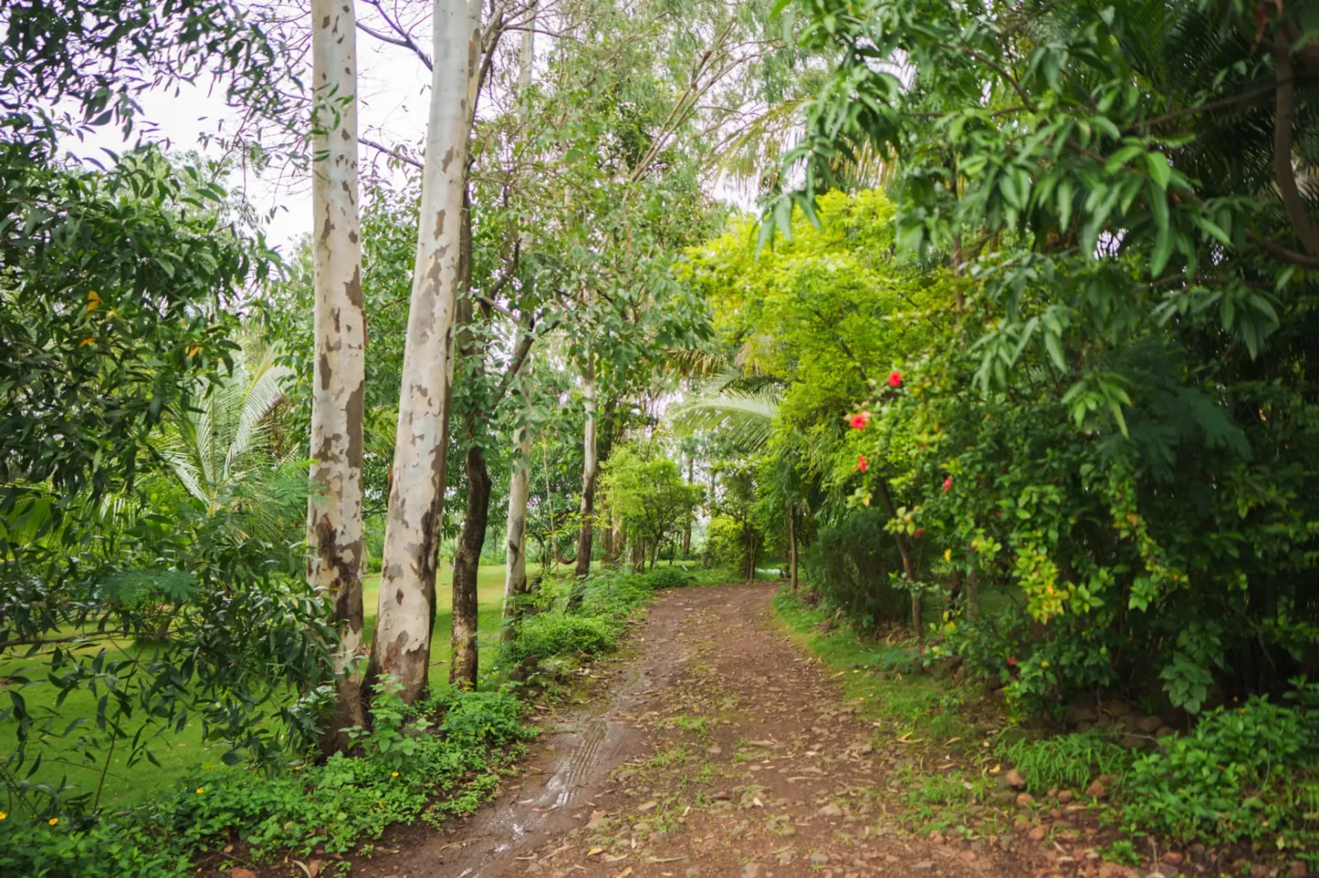 Image 36 of the property