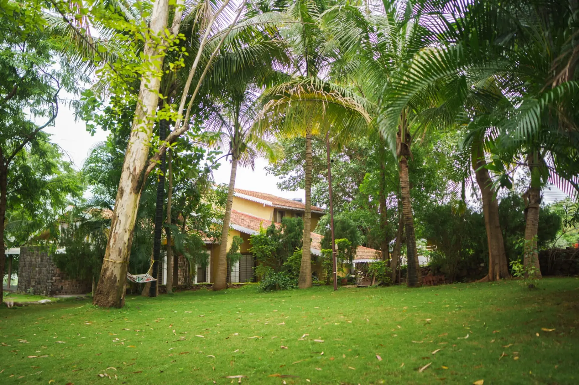 Image 31 of the property