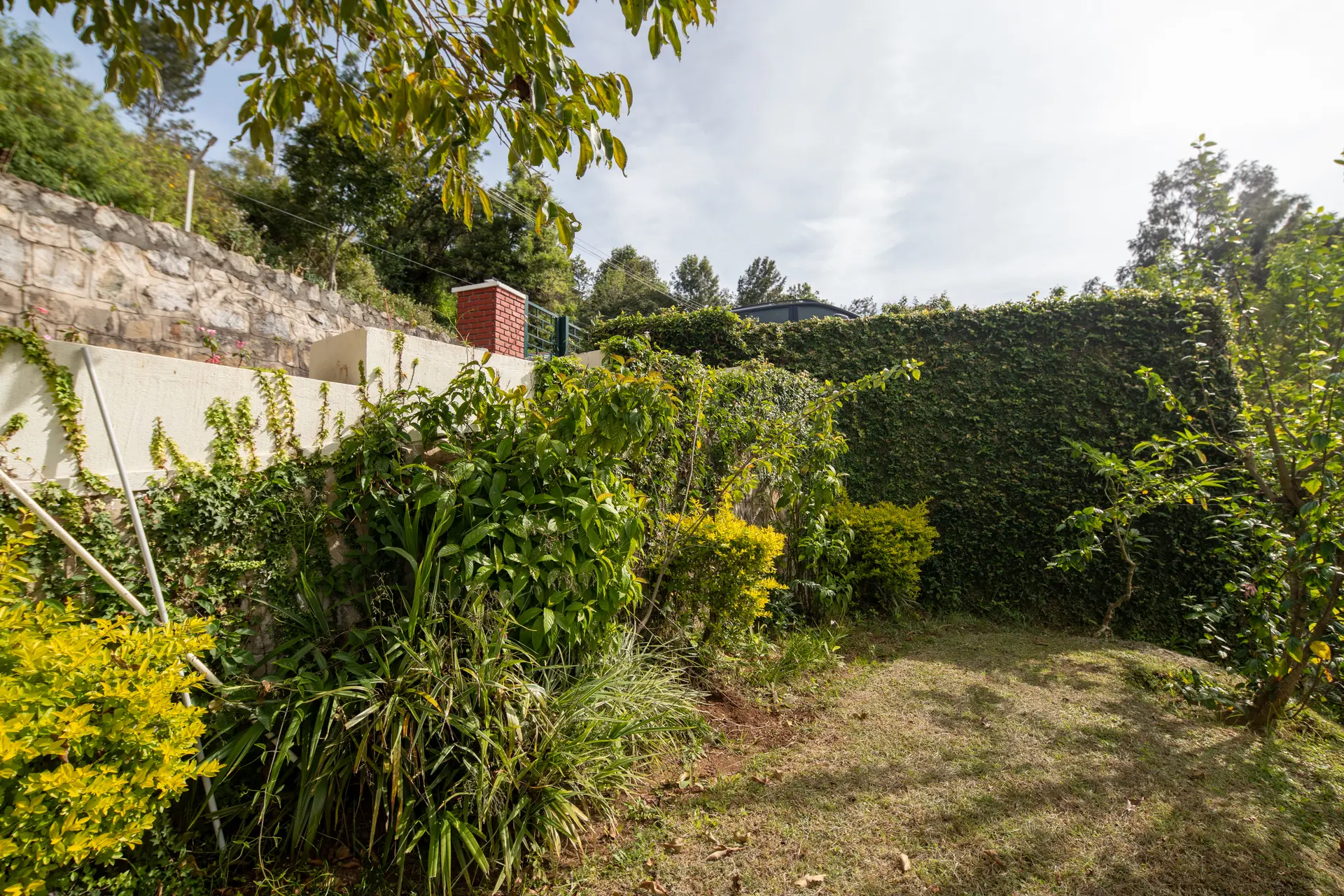 Image 39 of the property