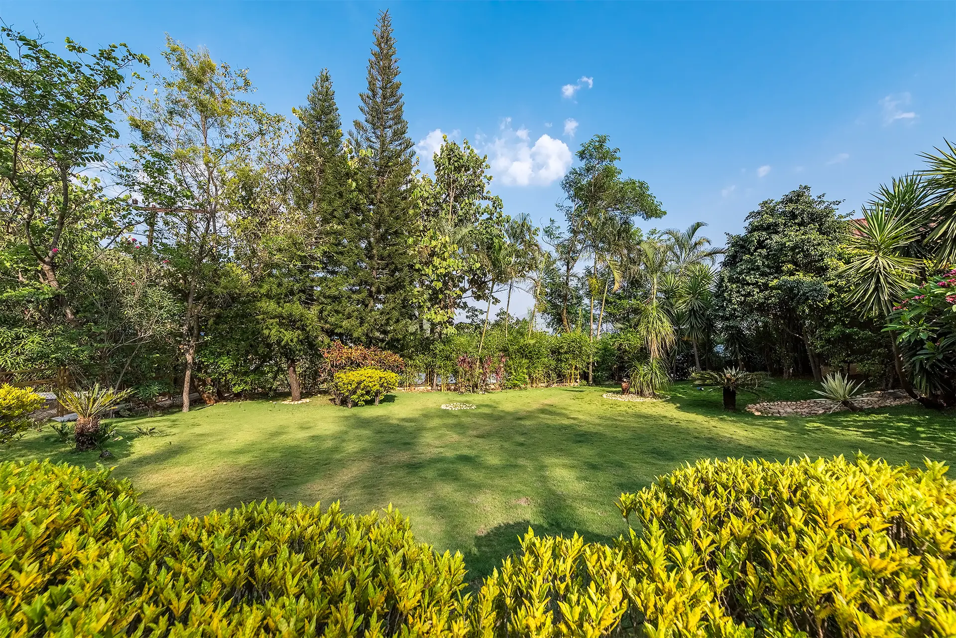 Image 41 of the property