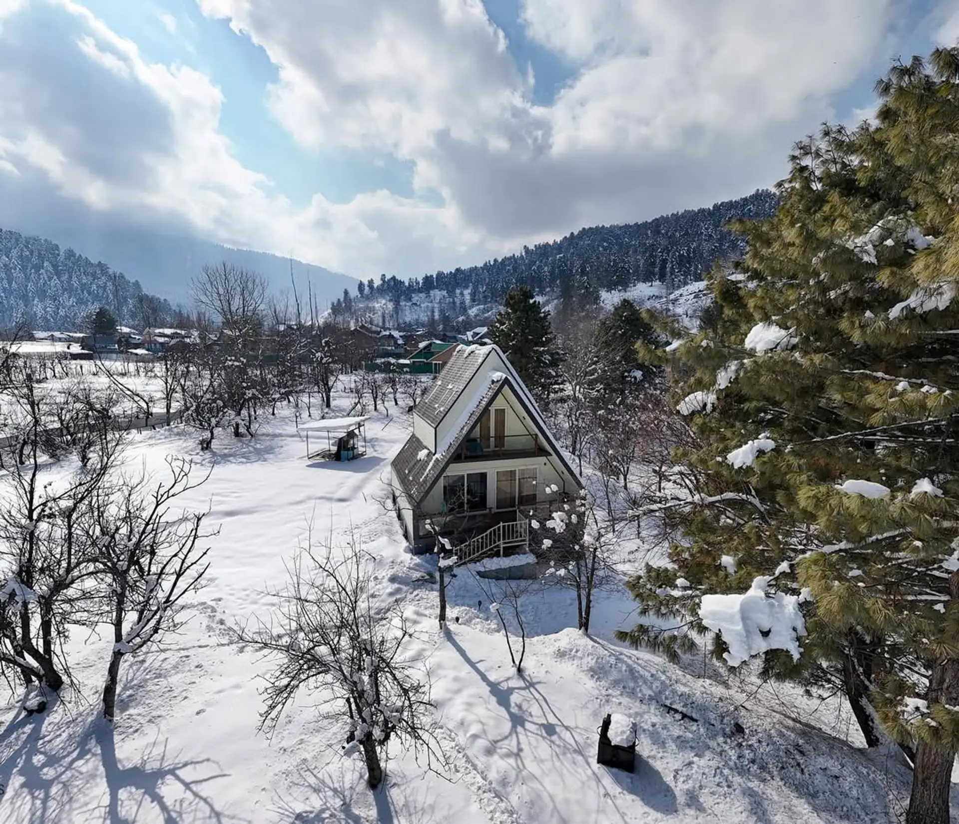 Cheese Cottage Estate ~ Olive Chalet