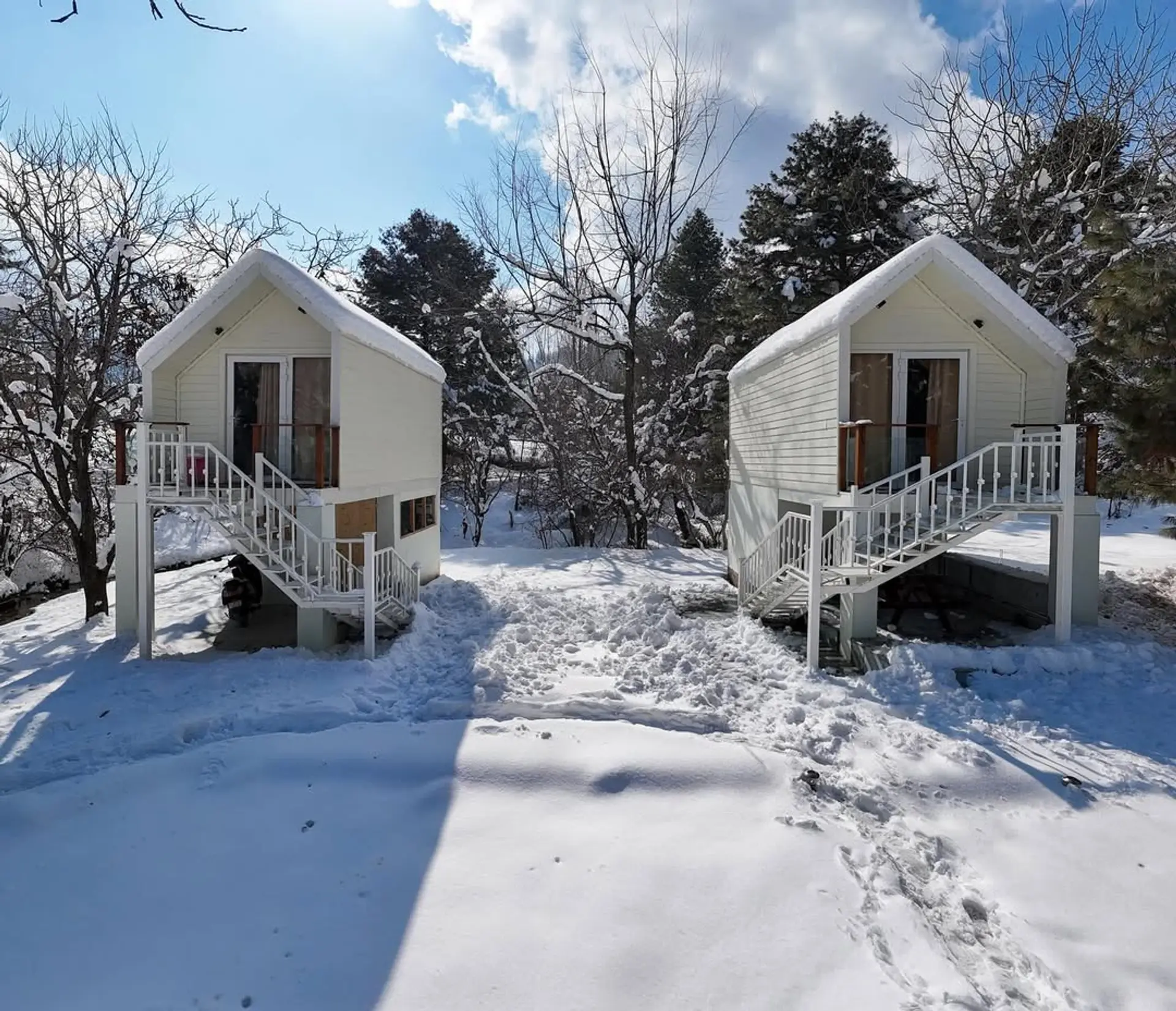 Cheese Cottage ~ Snow Pods