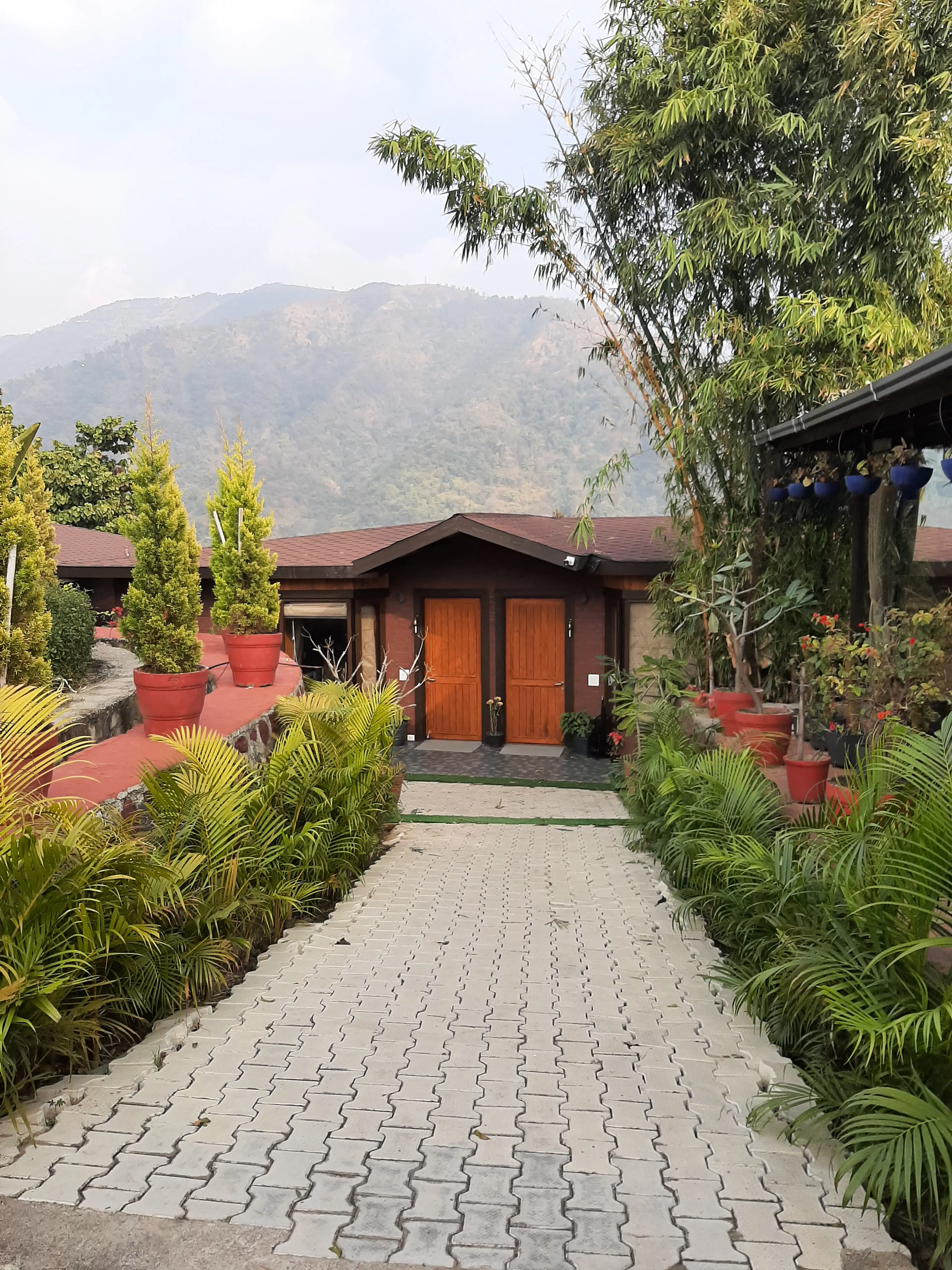 Radha Yadav