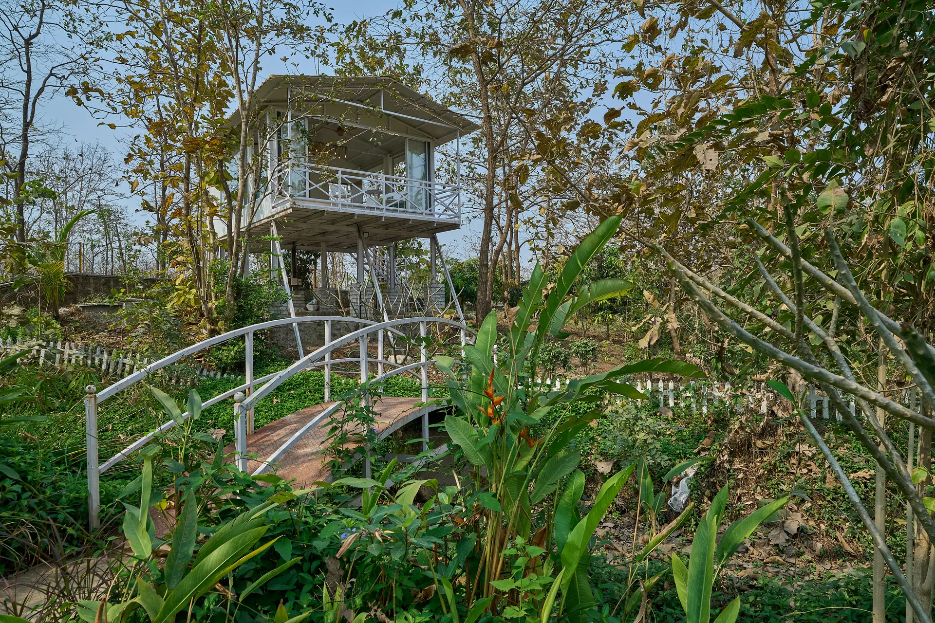 Chirping Chalet