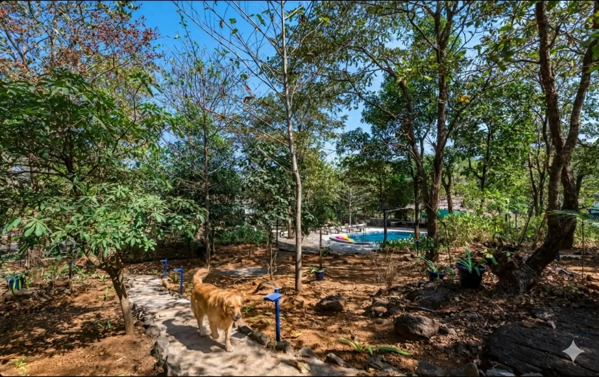 Image 56 of the property