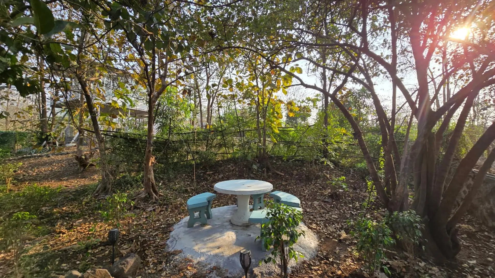 Image 11 of the property