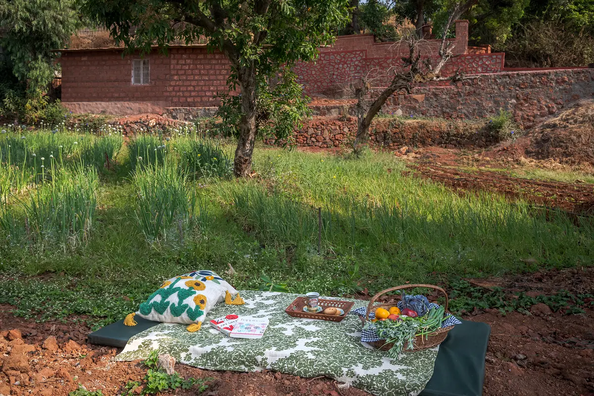 Plan a relaxed picnic in the garden and slow down for the day