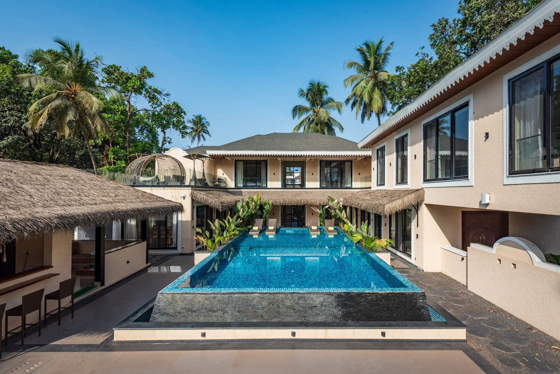 Frangipani