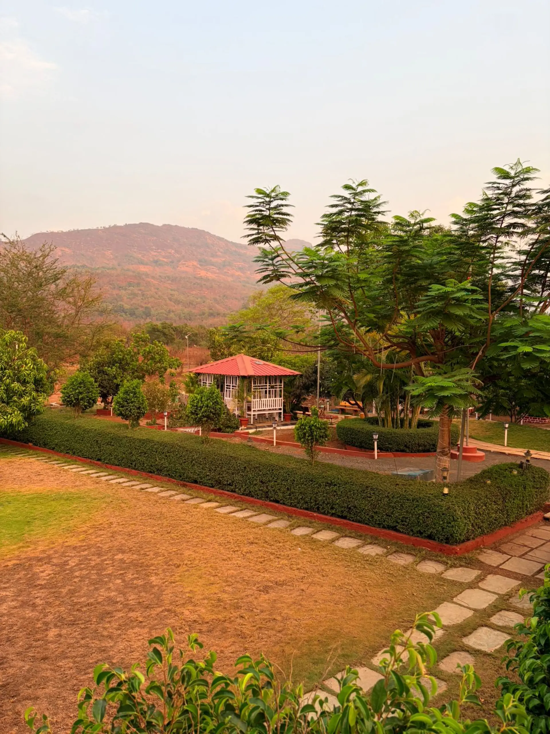 Olive Greens - Karjat