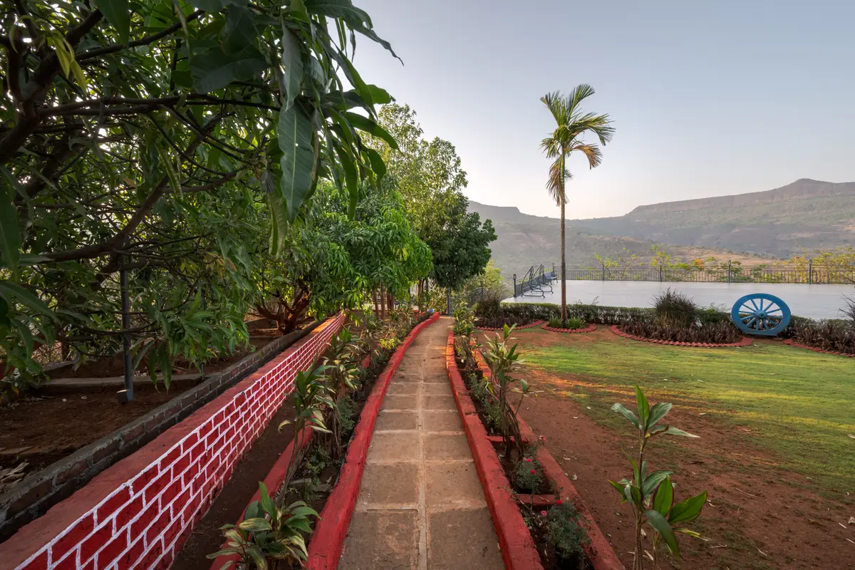 Enjoy a nature's trail walk