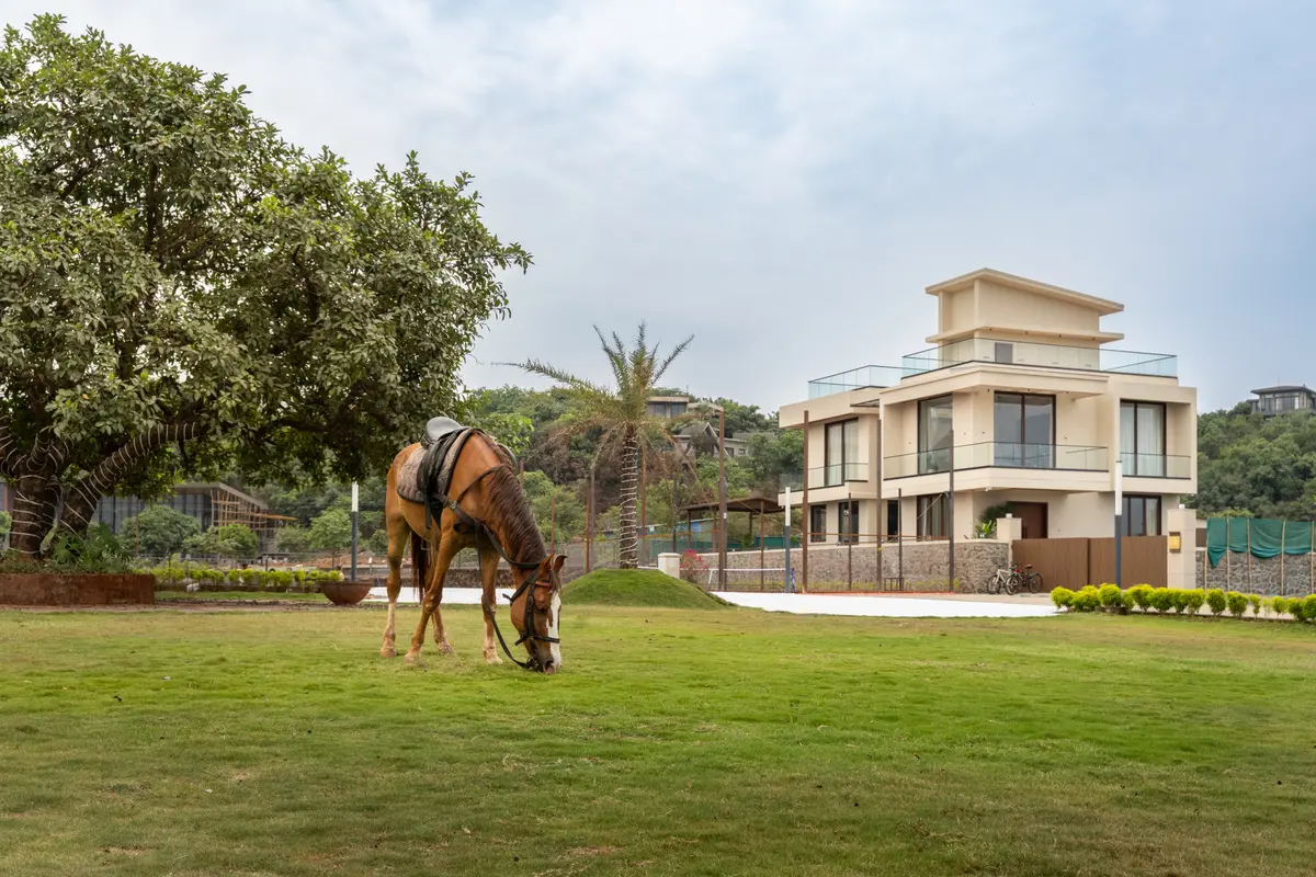 Horse riding has always been in trend!