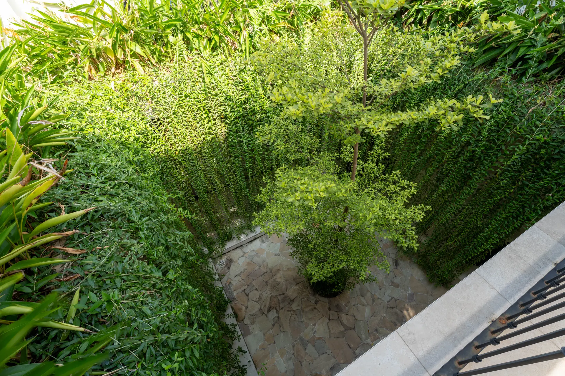 Image 36 of the property
