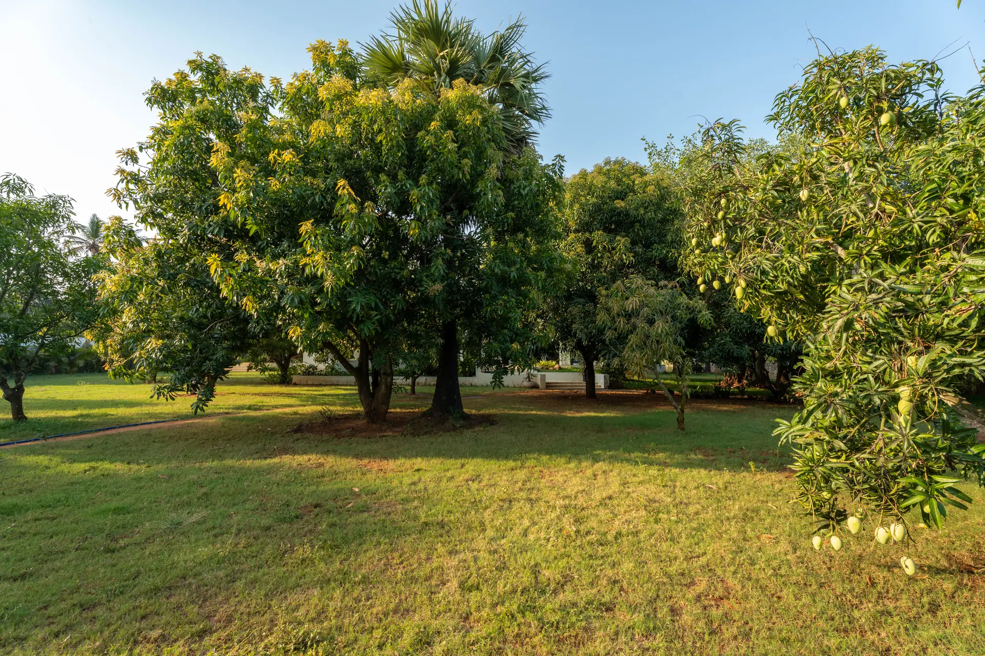 Image 75 of the property