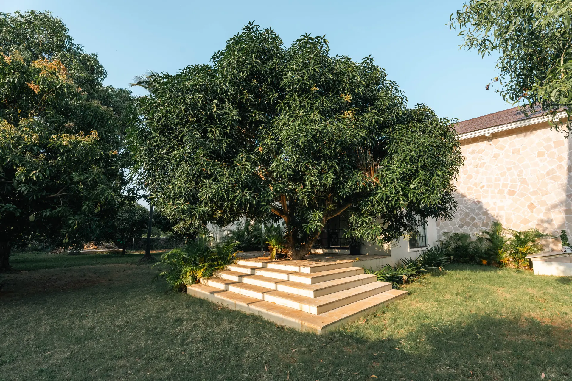 Image 77 of the property