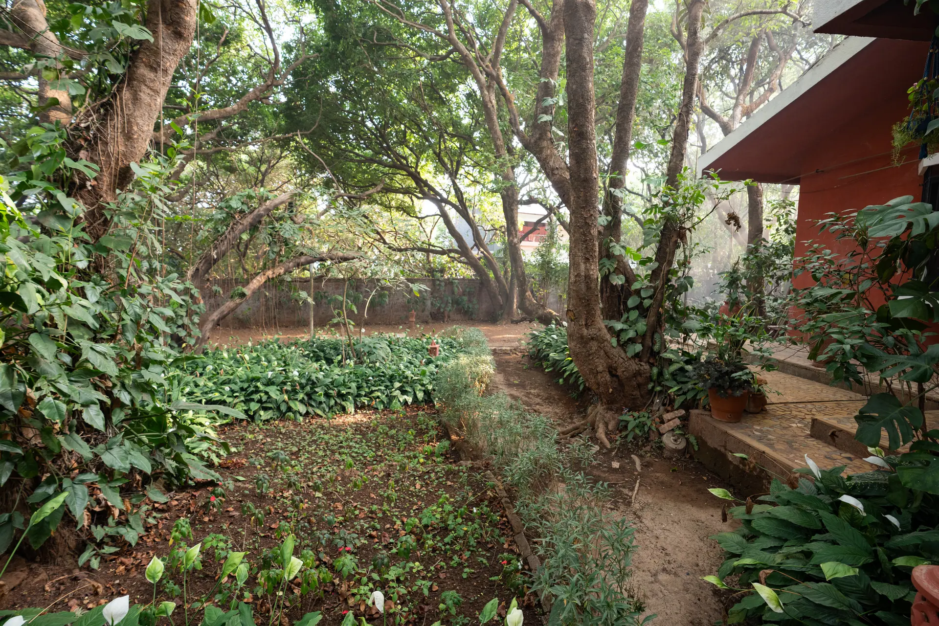 Image 31 of the property
