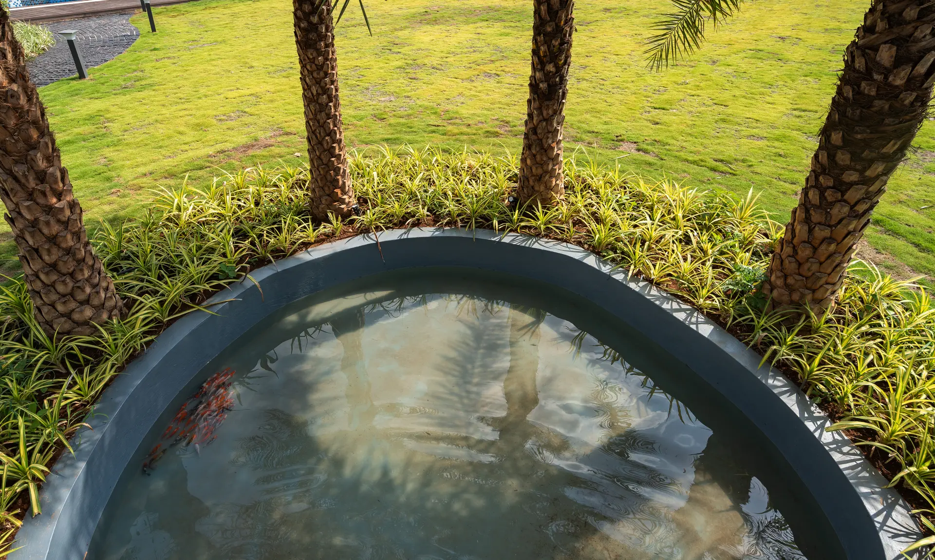 Image 14 of the property